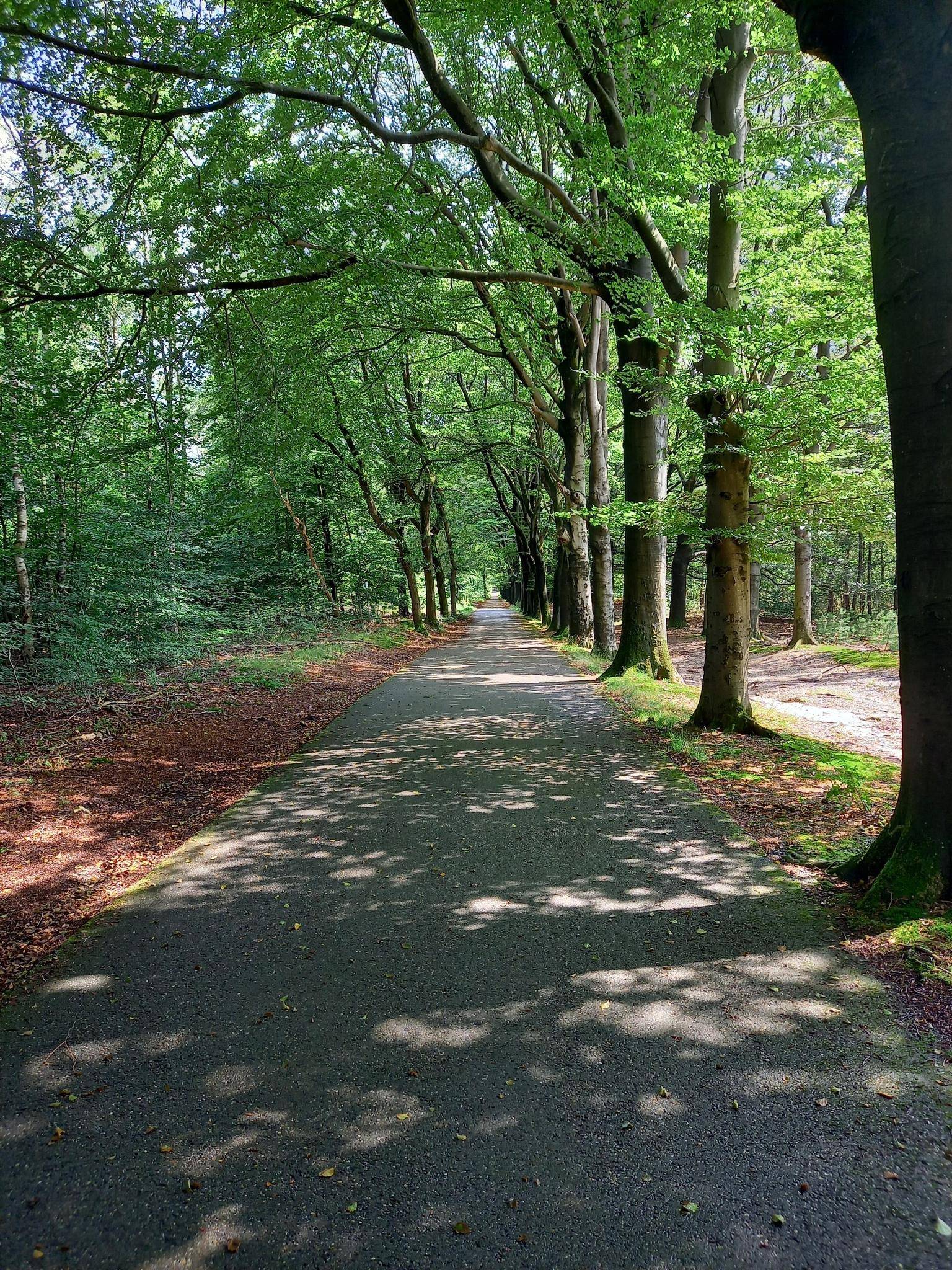 0?width=3840&crop=false&q=70