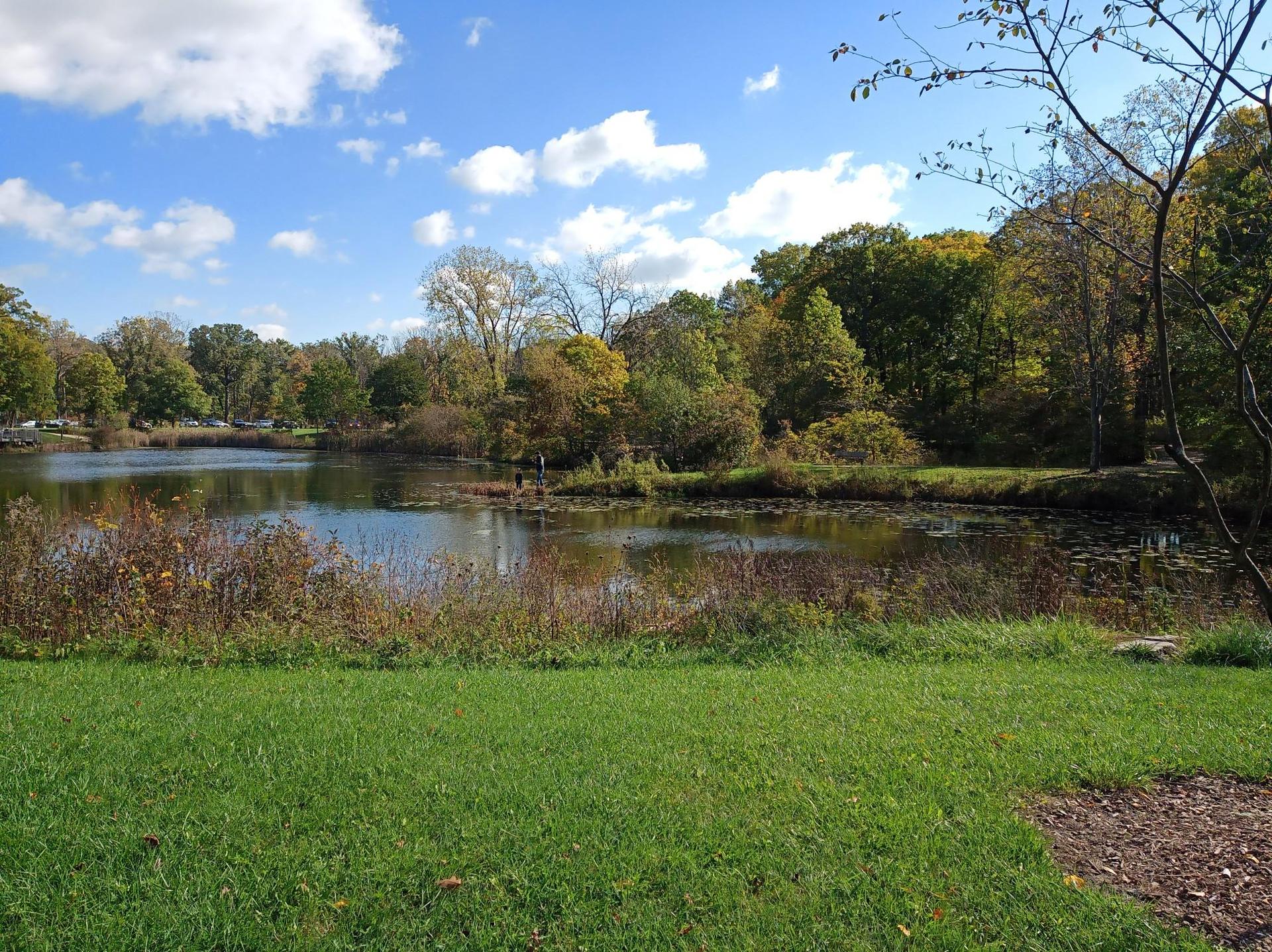 A serene pond reflects a blue sky, surrounded by grassy banks and autumn trees.