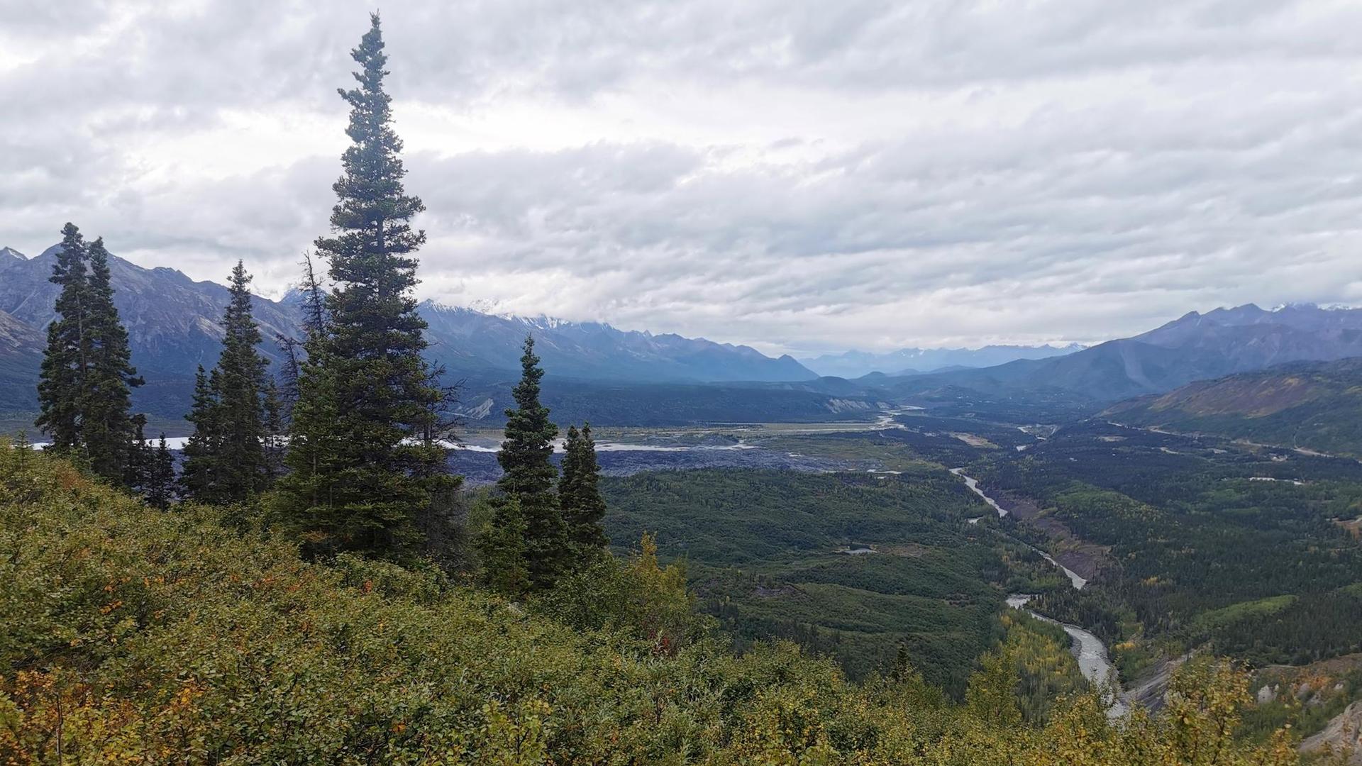 Panoramic view of a wide valley with a river, mountains, and tall trees.