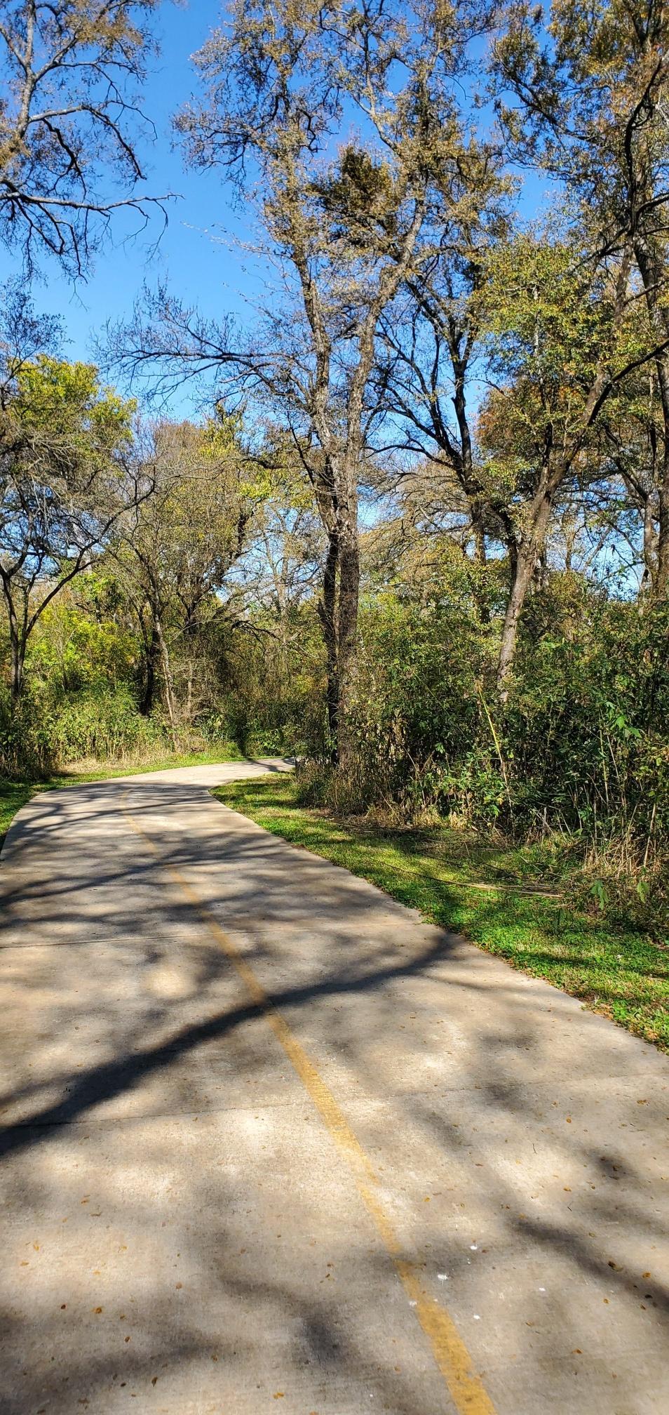 Paved path winding through a sunlit forest, dappled with tree shadows.