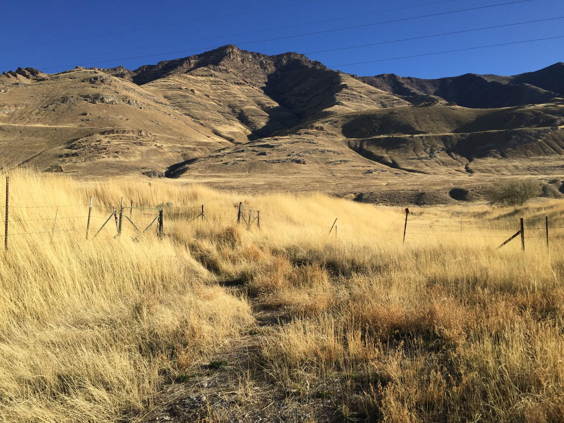 A dirt path through golden grass leads to rugged, sunlit mountains.