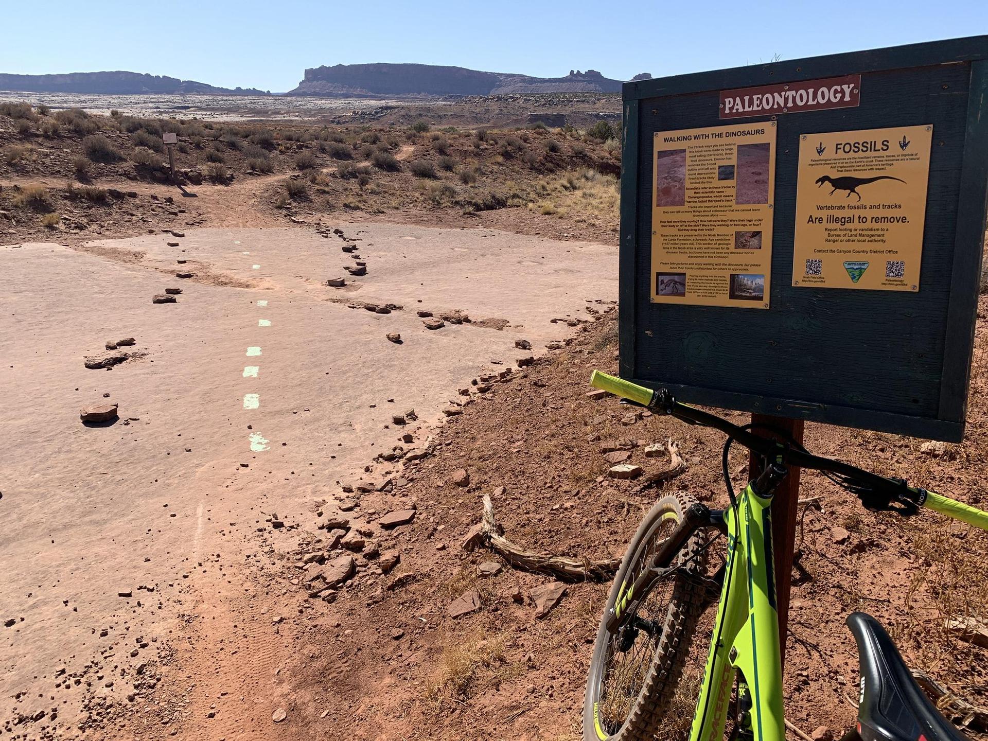 A green mountain bike parked next to a paleontology sign on a dirt path.