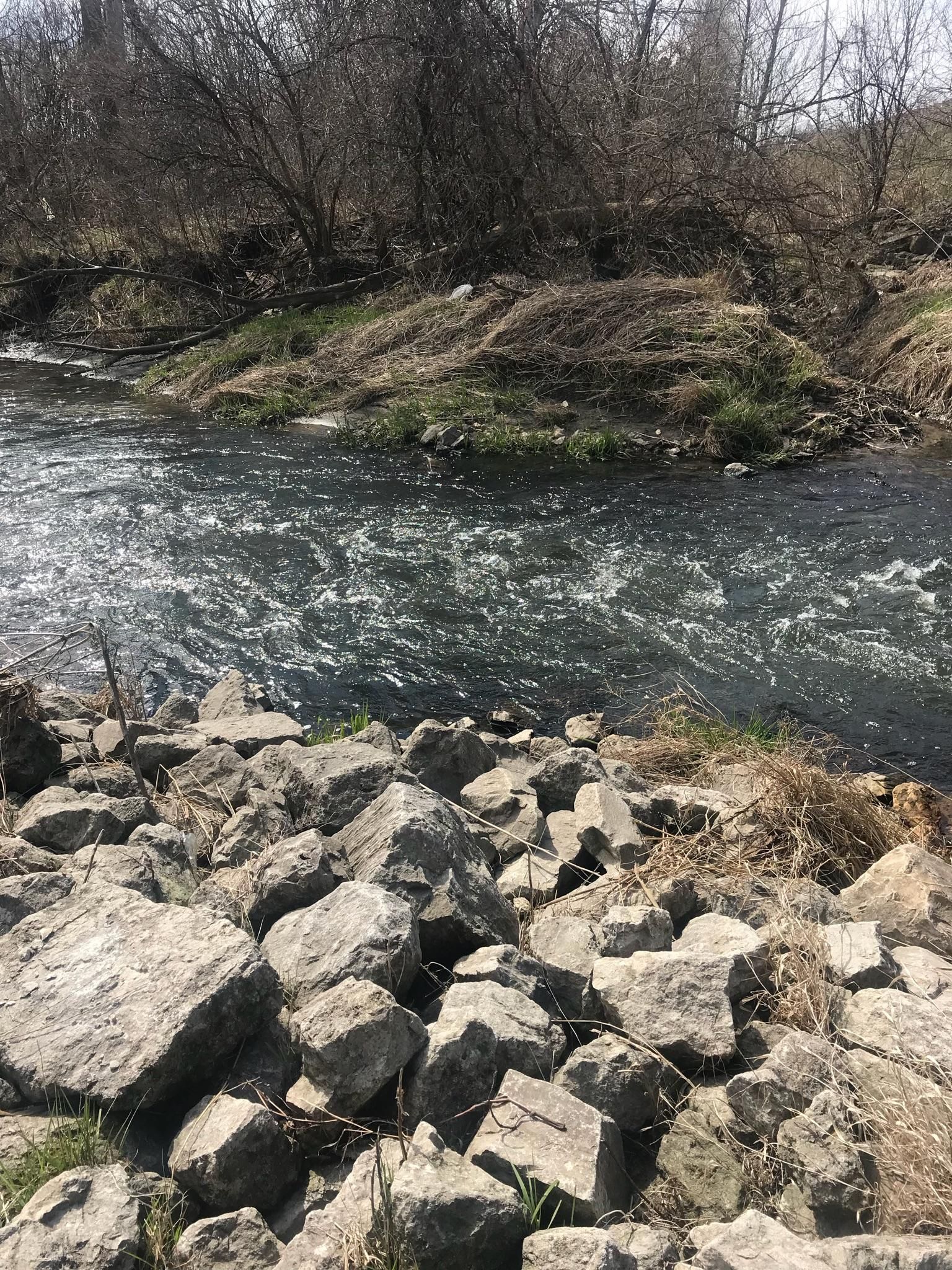 Choppy dark river water next to a rocky bank with bare trees. - Great Western Trail