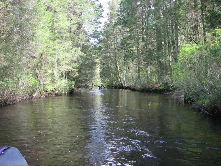 Harrisville Pond and Batona Trail Loop | hike | Komoot