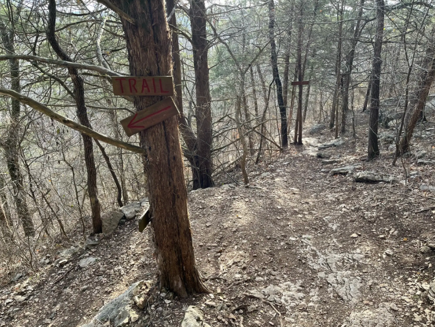 A dirt trail winds through a sparse forest with 'TRAIL' signs.