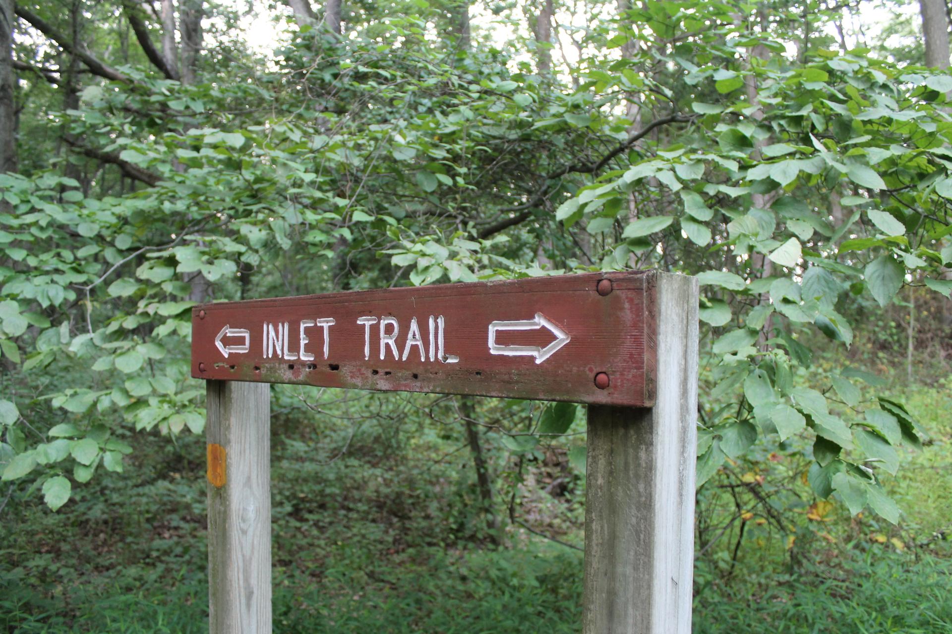 Rustic wooden trail sign with arrows pointing directions amidst green forest foliage.