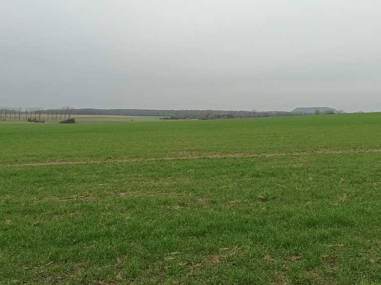 beautiful-view-towards-sehnde-cycle-routes-and-map-komoot