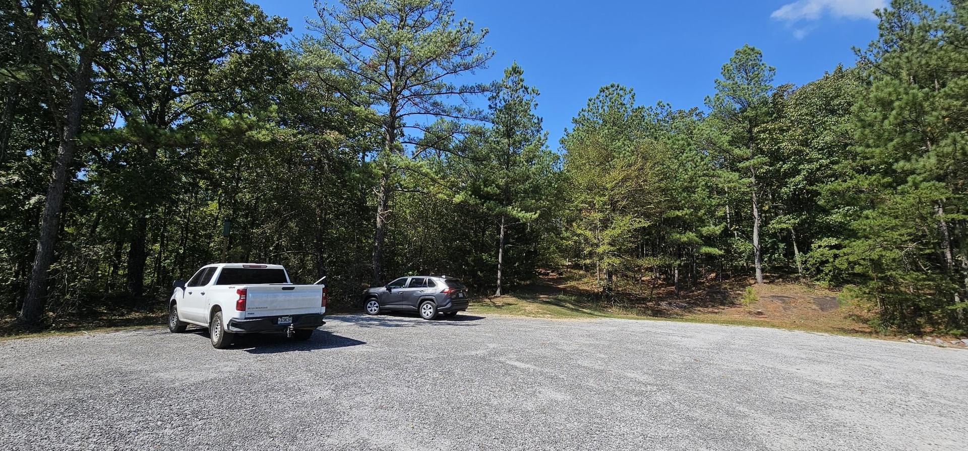Two vehicles parked in a gravel lot surrounded by a dense green forest.