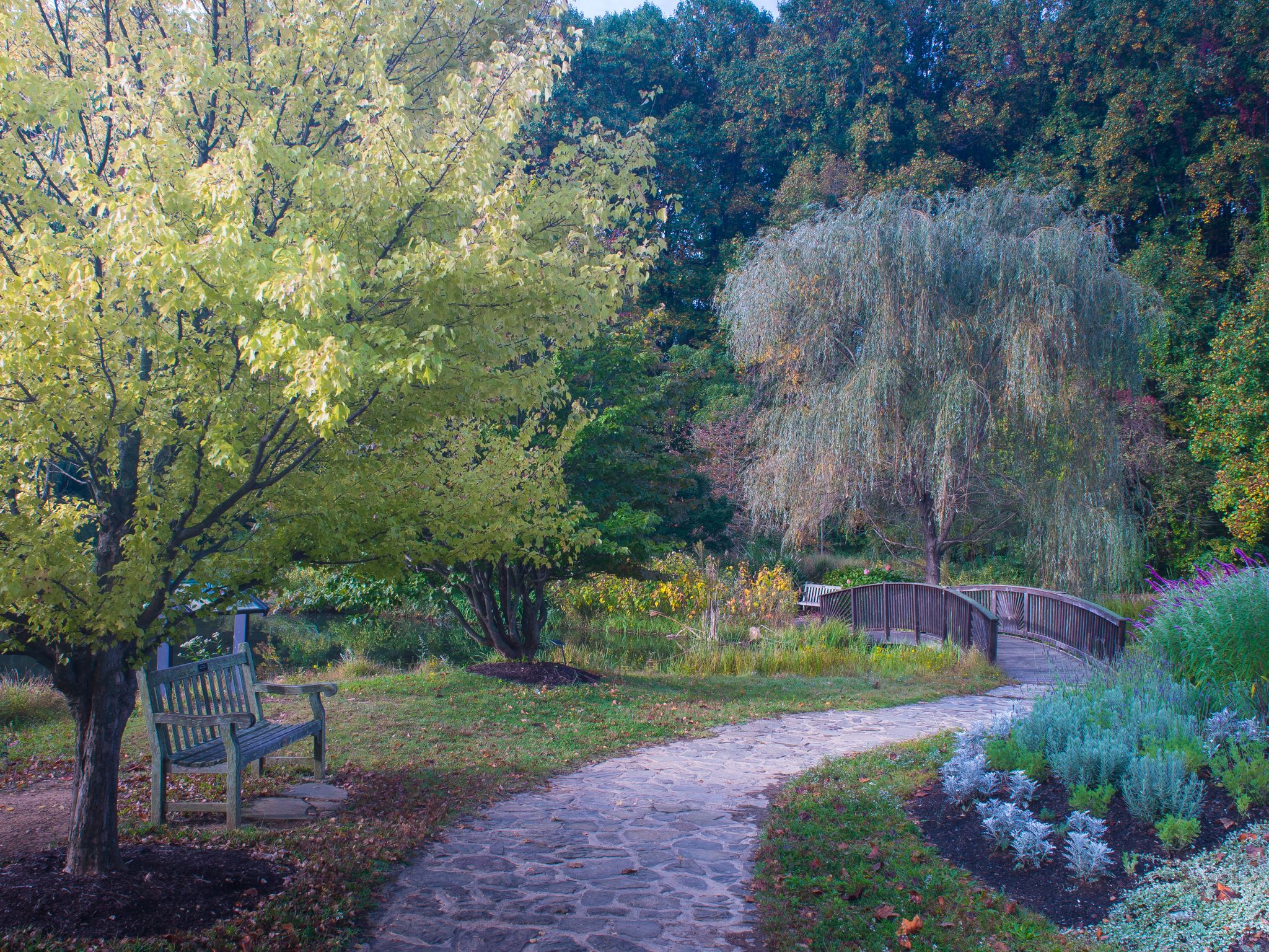 Stone garden path winding past lush trees, a bench, and a small wooden bridge. - Meadowlark Park loop via Monon Trail