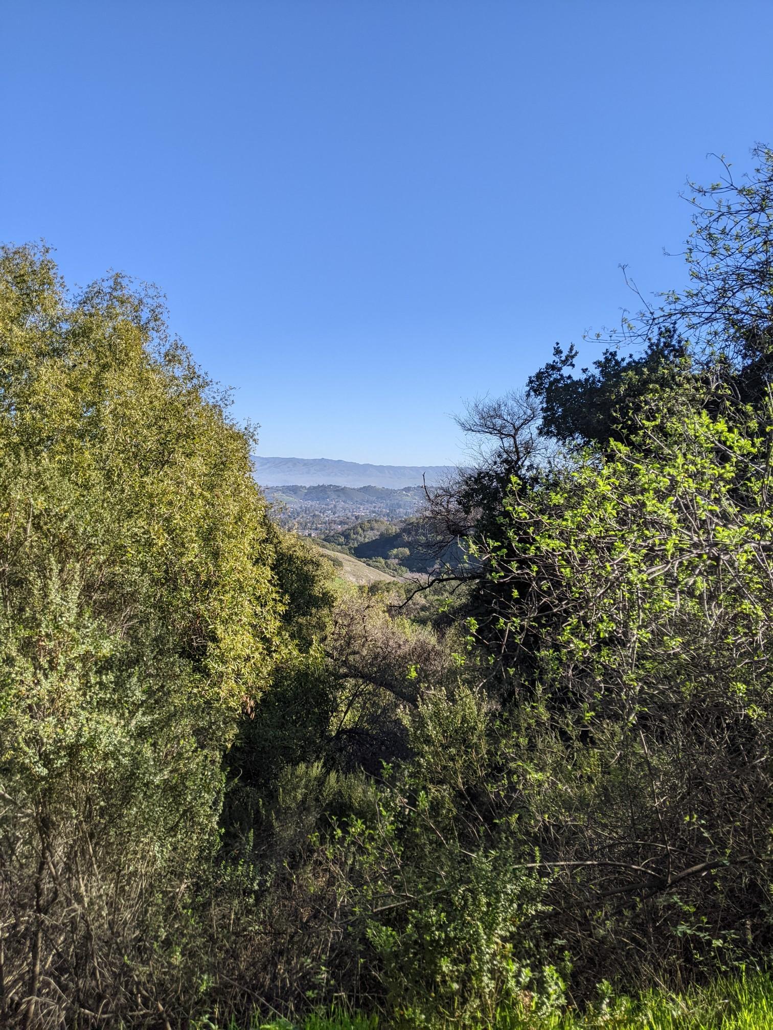 Sunny view of distant hills and valley framed by green trees.