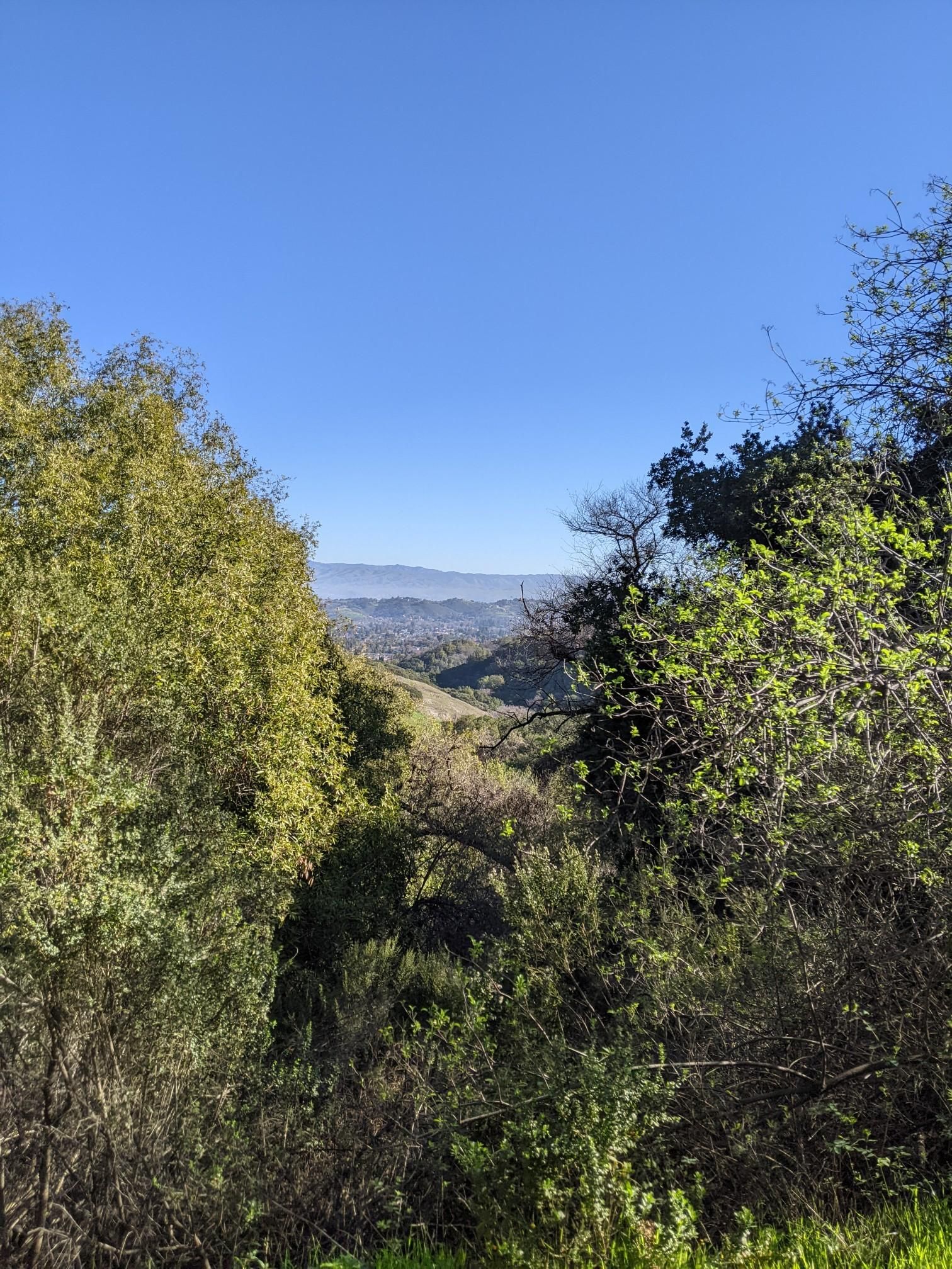 Sunny view of distant hills and valley framed by green trees. - New Almaden and Guadalupe Trail Loop