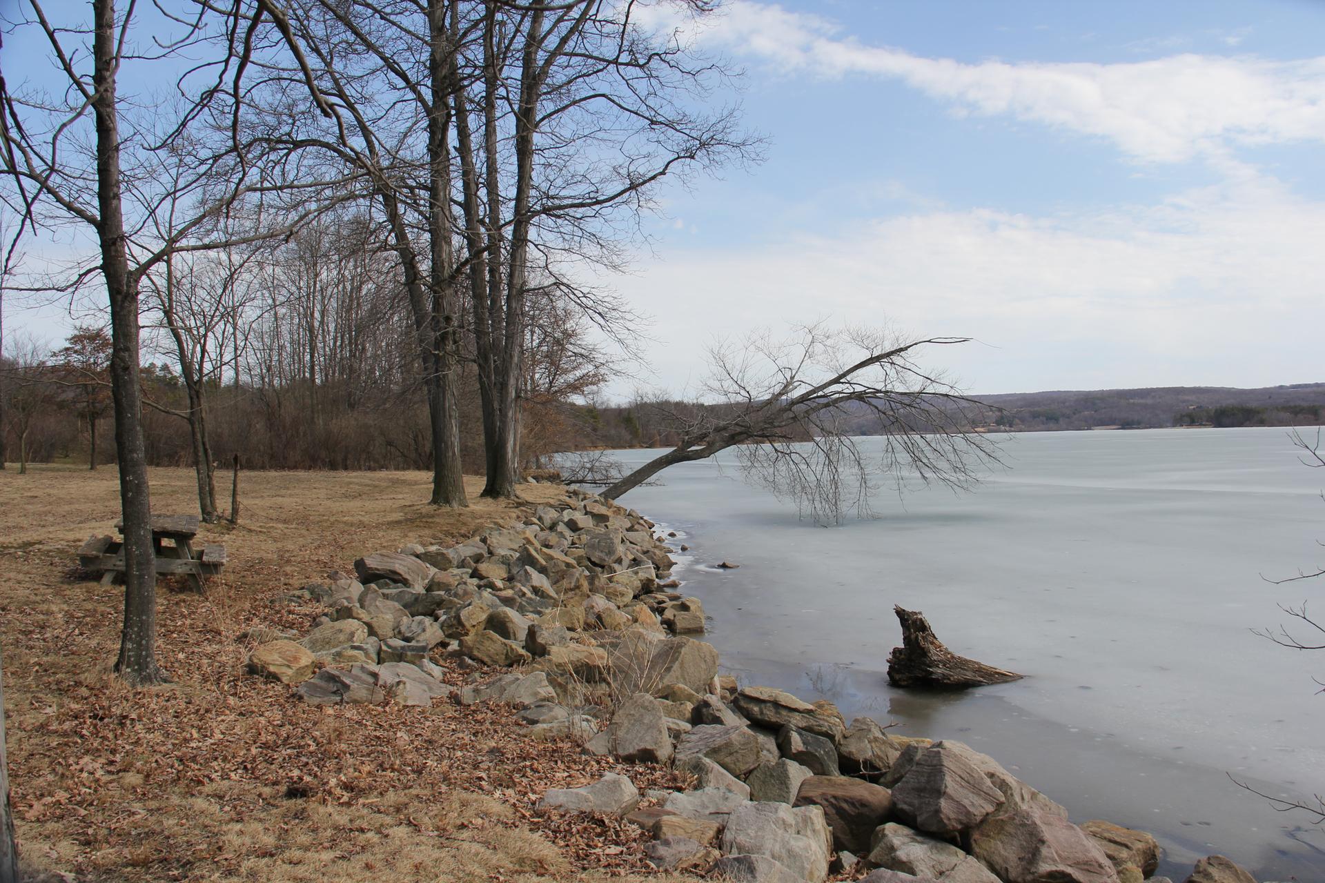 Bare trees line a rocky shore next to a partially frozen lake under a bright sky.