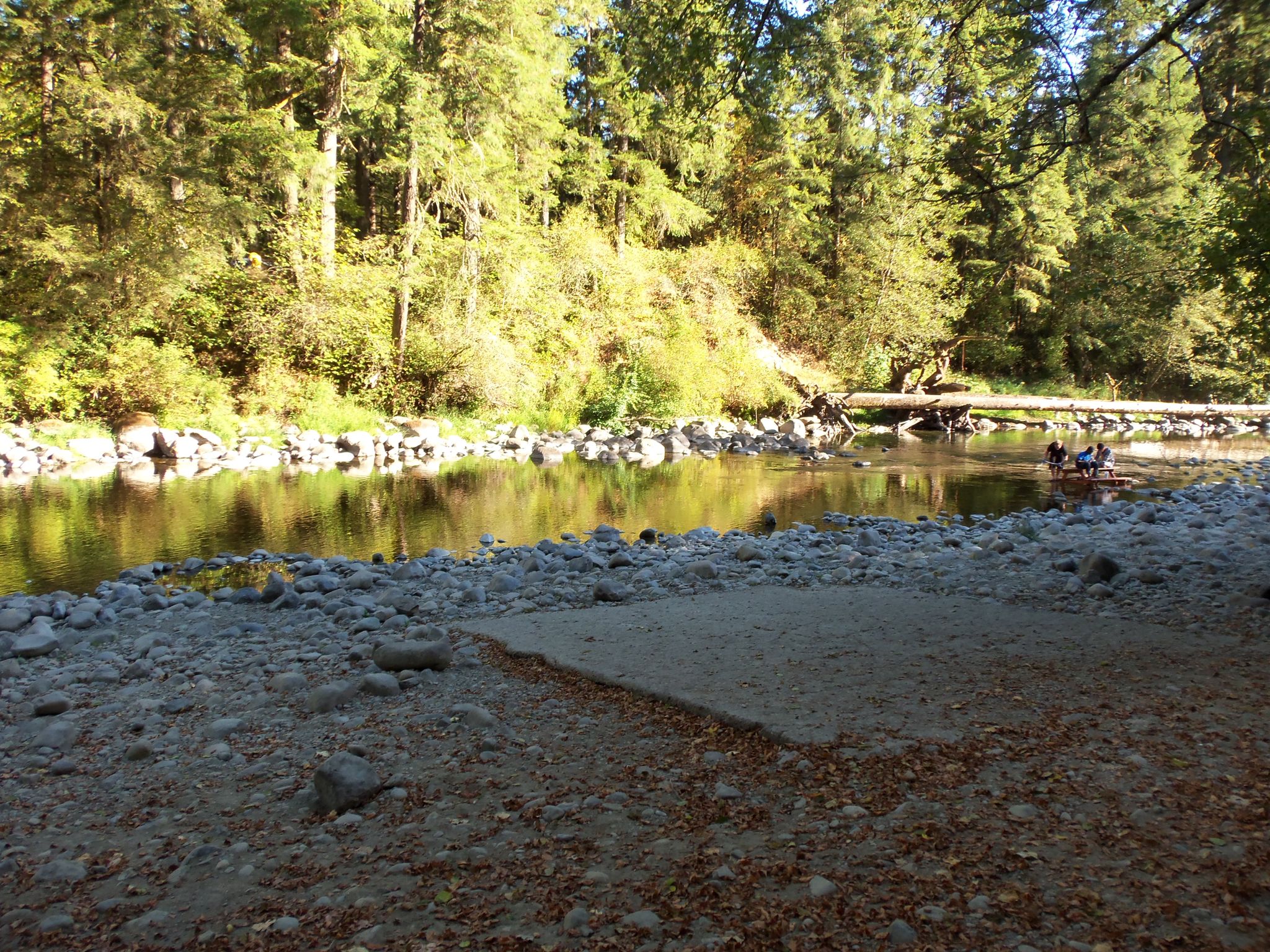 Sunny river scene with a rocky shore, dense forest, and people in a boat. - Lewisville Park Trail loop