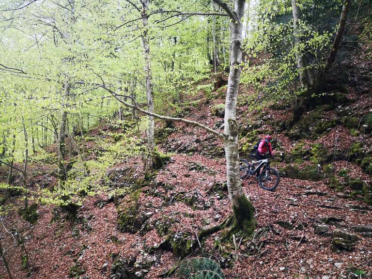 what height mountain bike should i get