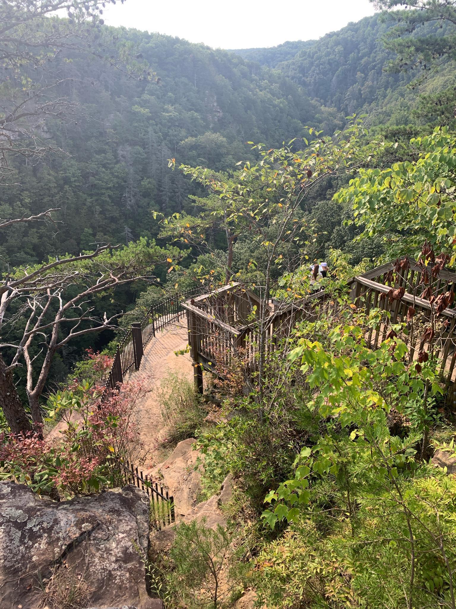 Wooden boardwalk and stairs descending into a lush, green, forested valley.