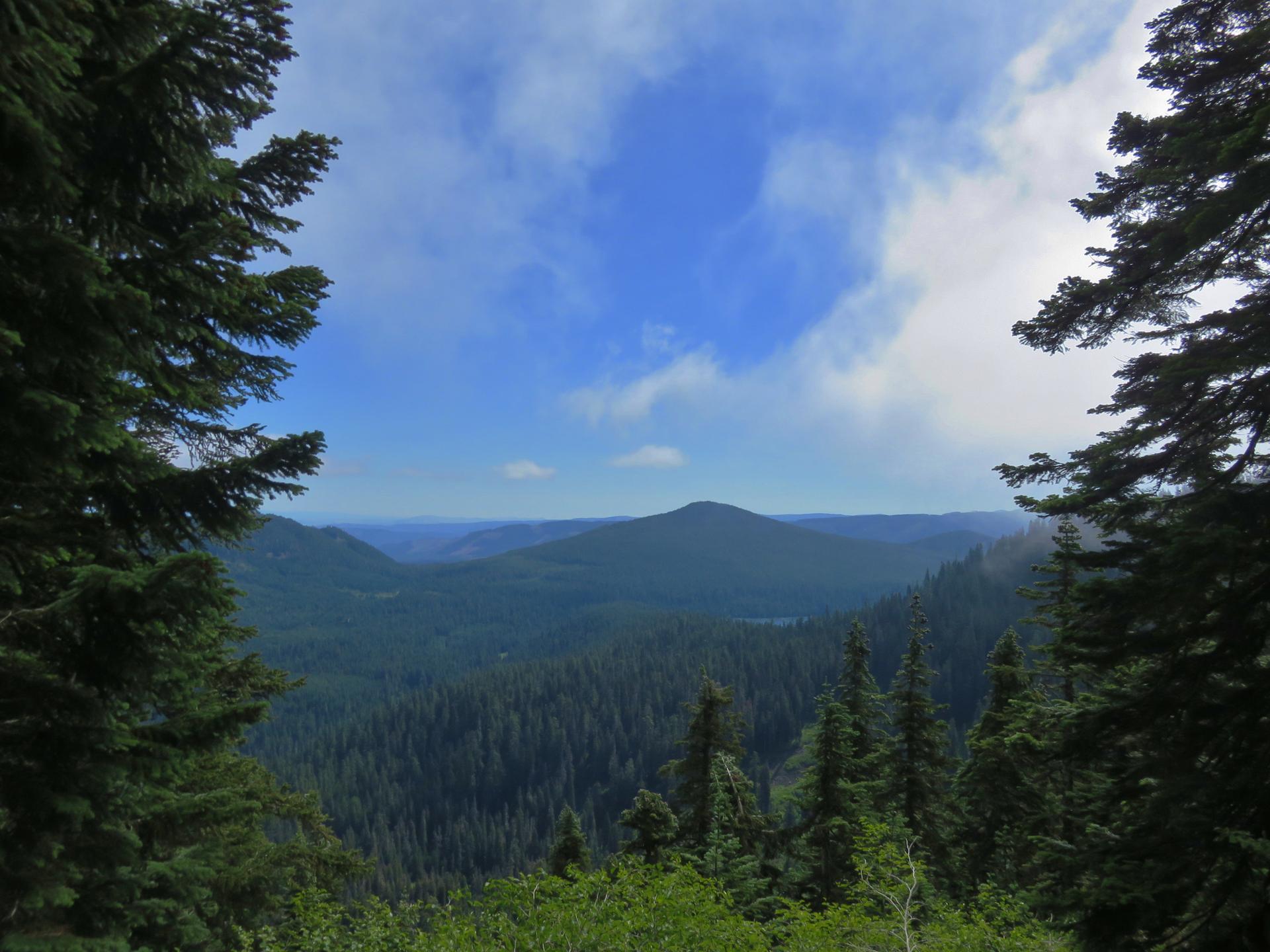 Vast evergreen forest covers rolling mountains under a bright, partly cloudy sky.