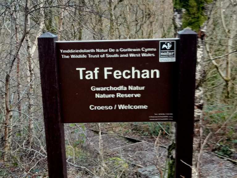 Taf Fechan Local Nature Reserve – Hiking & Cycling Routes | Komoot