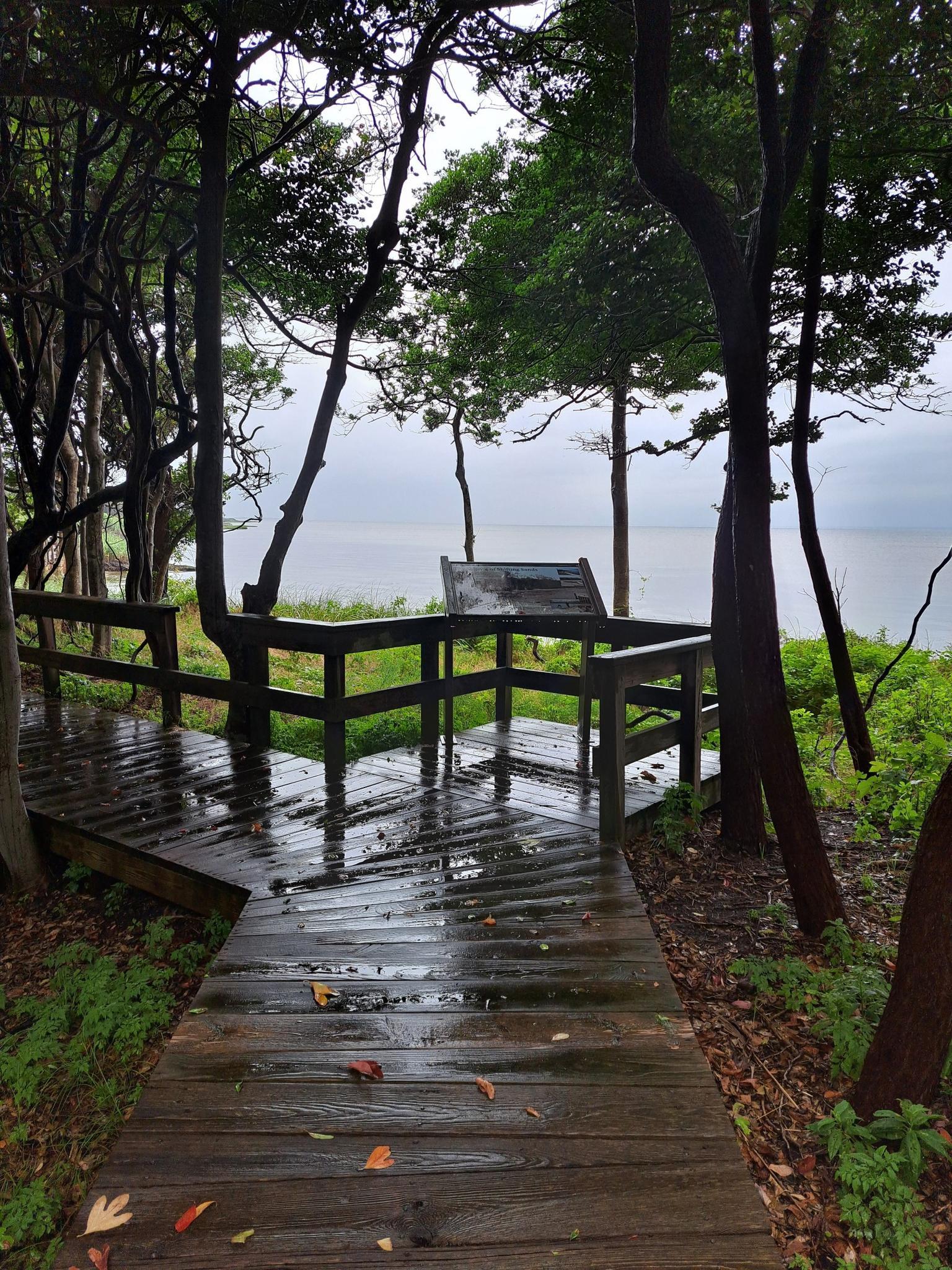 Wet wooden boardwalk leading to a viewing platform overlooking calm water and trees.