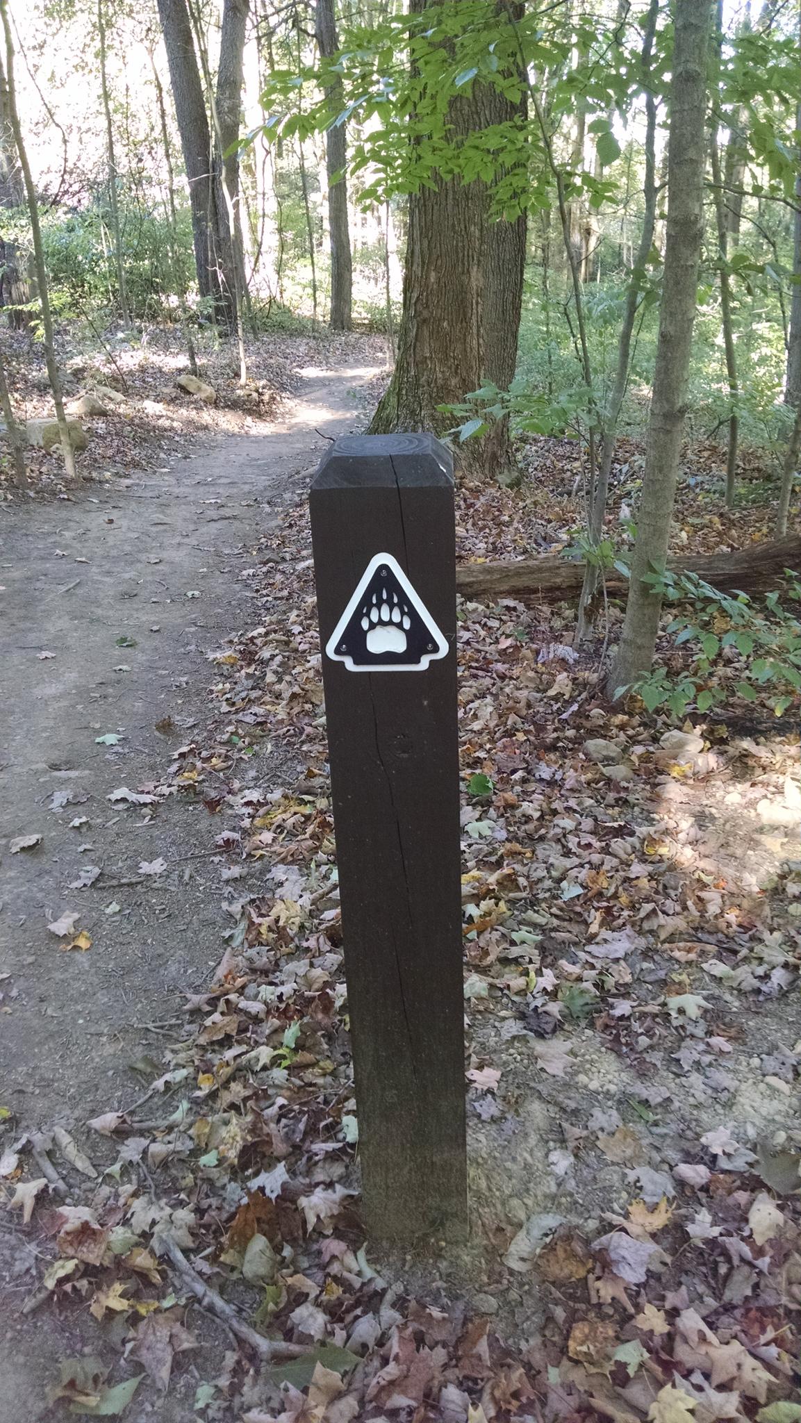 Wooden post with paw print sign on a leaf-covered forest path in daylight.