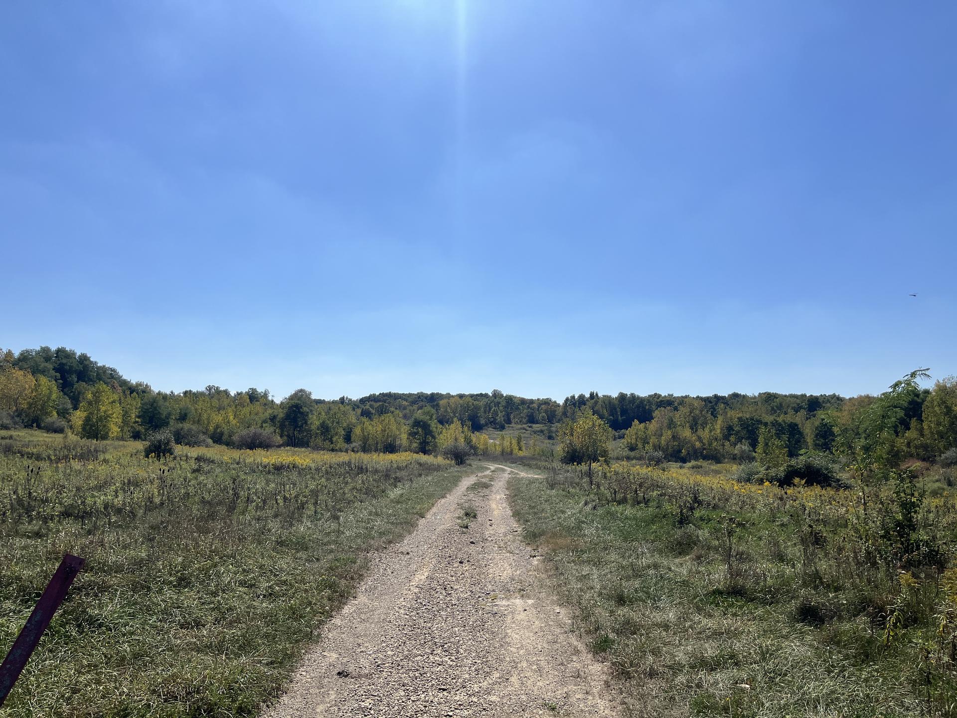 A winding gravel path through a sunlit grassy field with autumn trees.