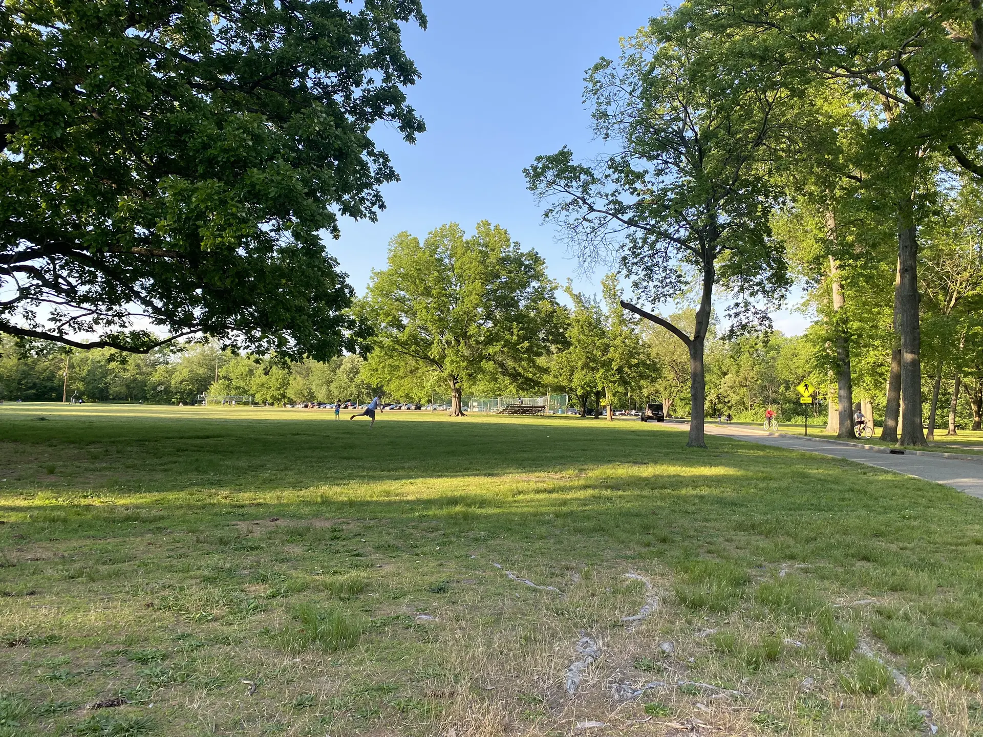 Sunny day in a large grassy park with distant people and trees.