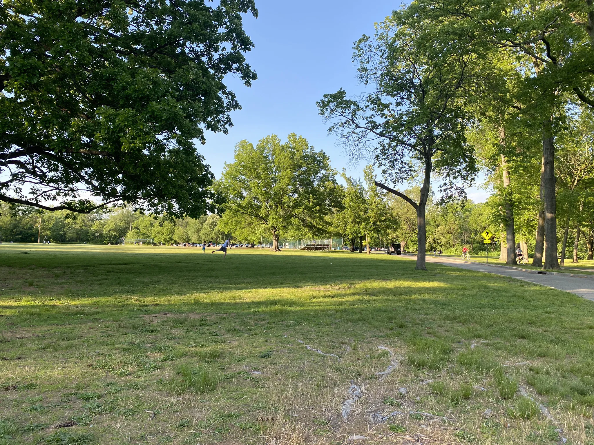 Sunny day in a large grassy park with distant people and trees. - Saddle River County Park Bike Path