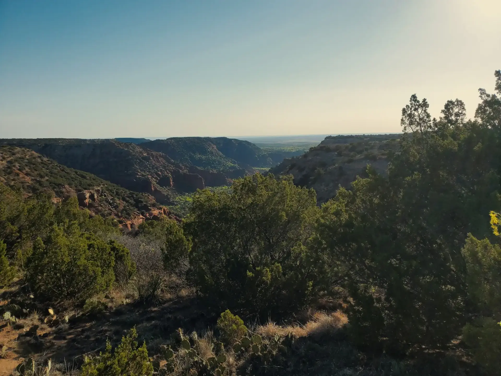 Panoramic view of a vast arid canyon under a bright sky.