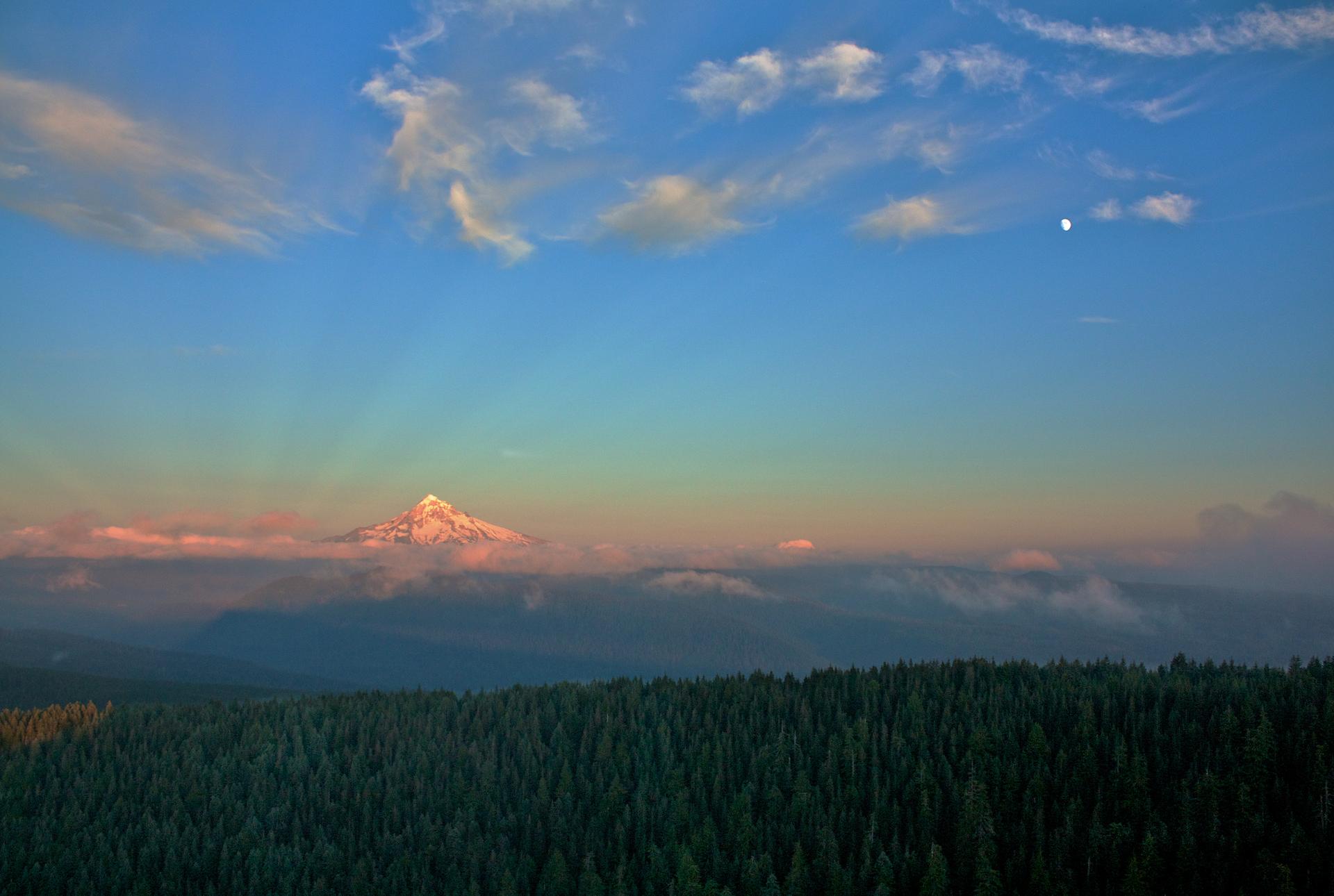 Snow-capped mountain peak emerging from clouds above a dark forest at sunset.