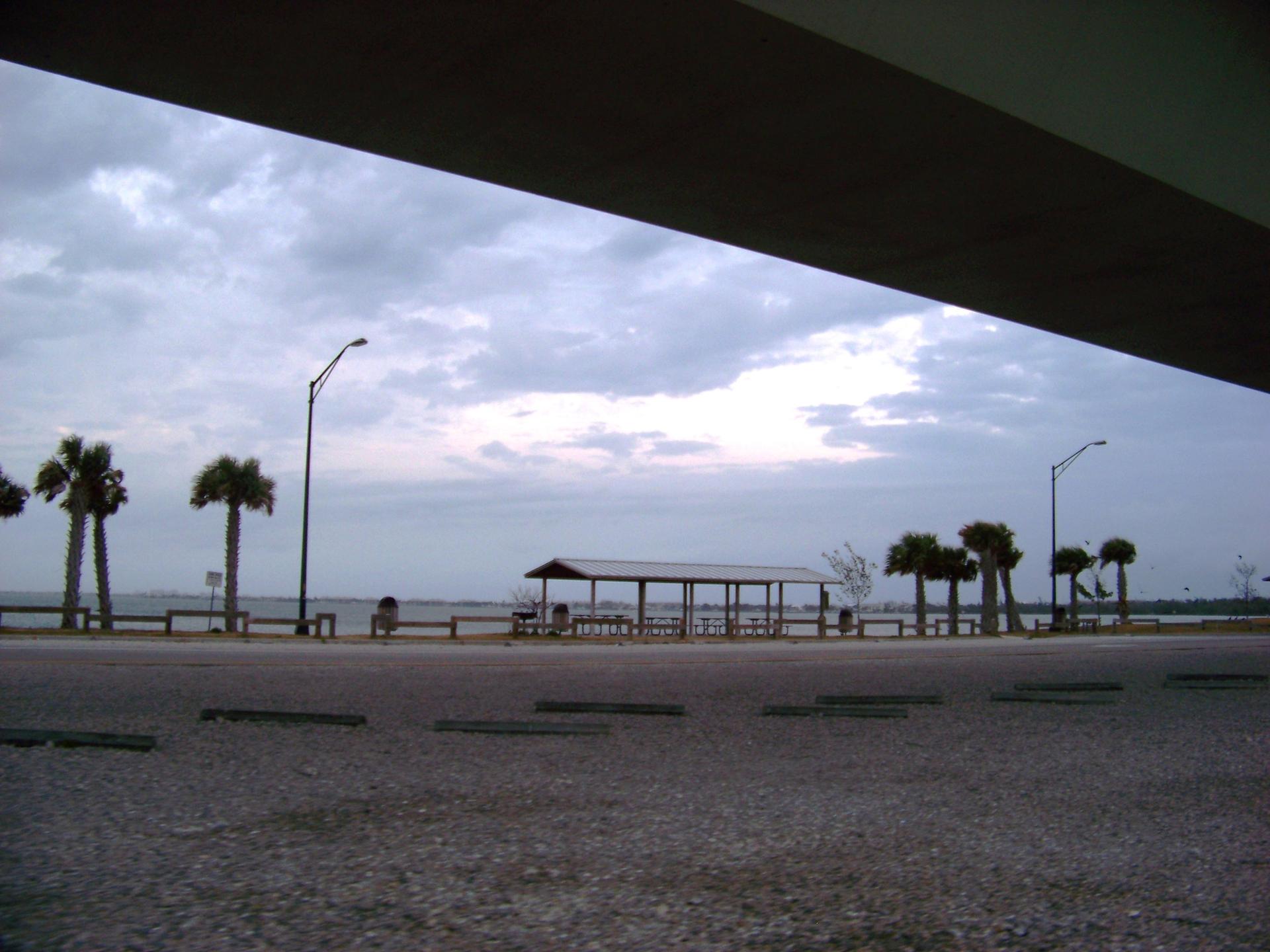 Waterfront park with palm trees and a shelter under a dim, cloudy sky.