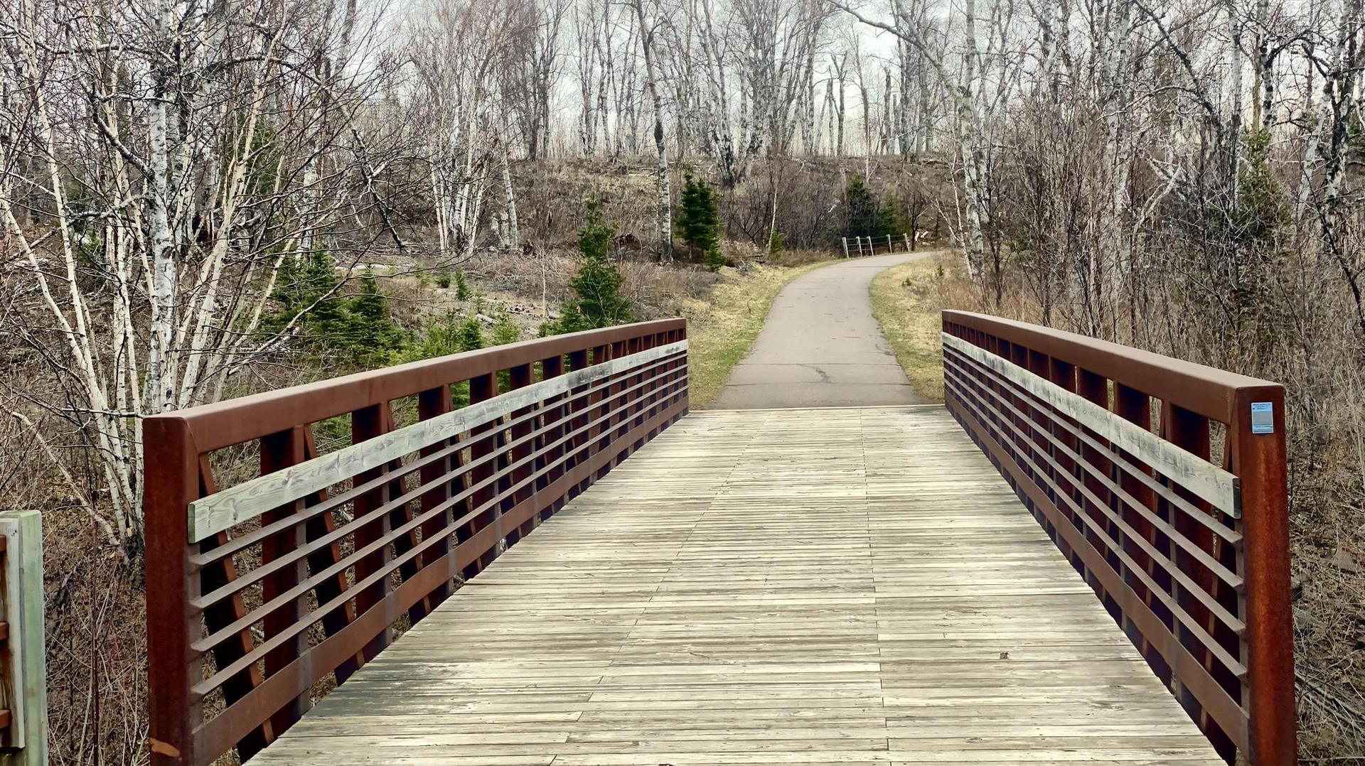 Wooden bridge leads to a paved path through bare winter trees under an overcast sky.