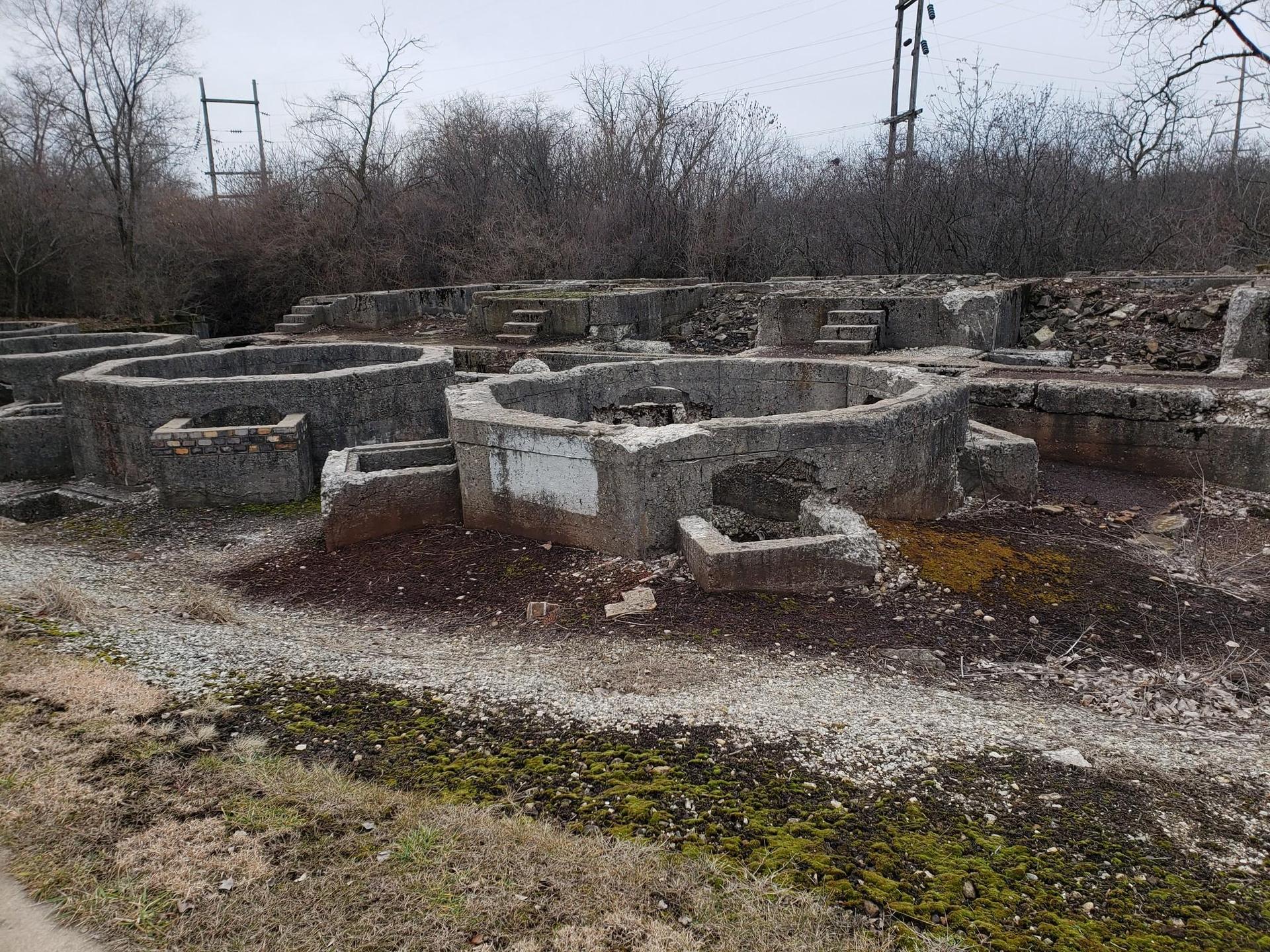 Overcast view of multiple circular concrete ruins amidst bare ground and trees.