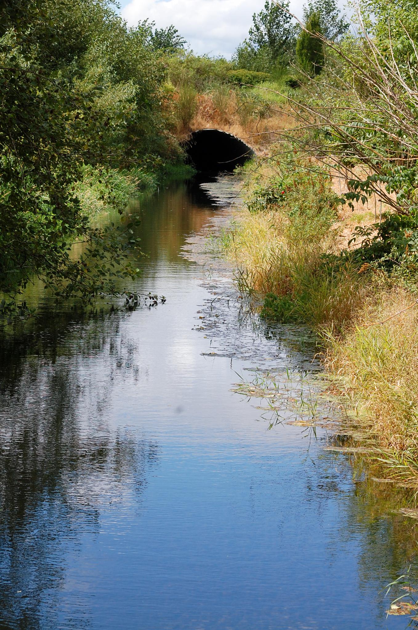 Bright daylight illuminates a calm river flowing towards a dark, arched culvert.