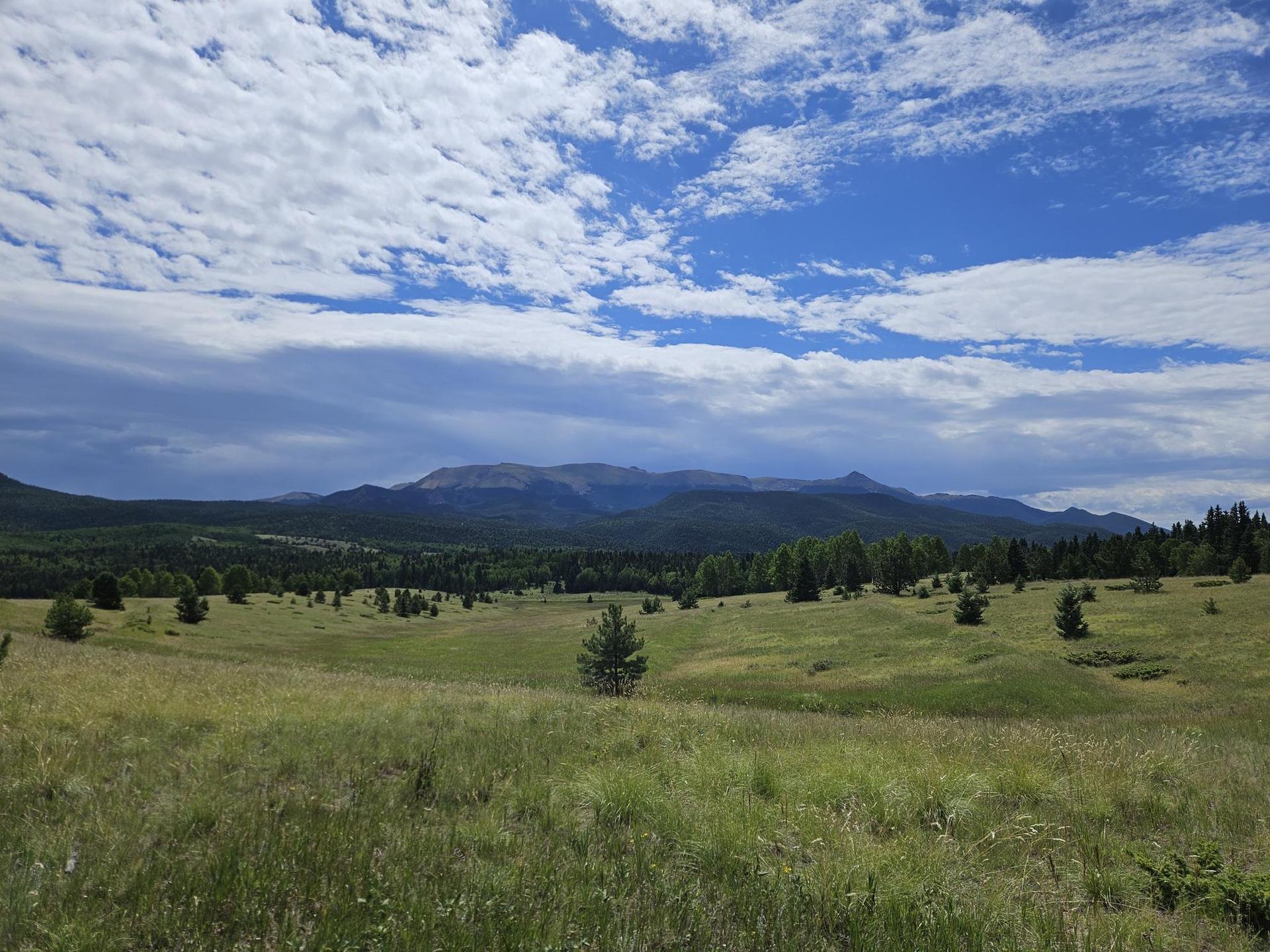 Vast green meadow with scattered trees and distant mountains under a cloudy sky.