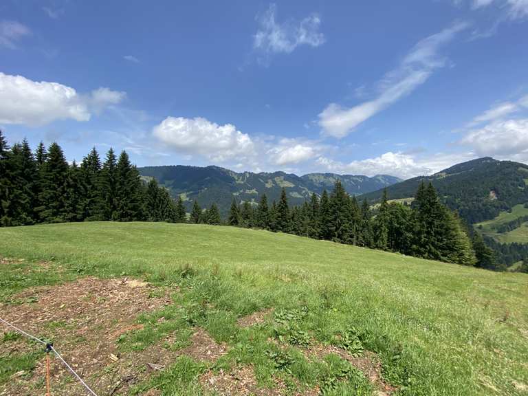 Hittisau – Hittisberg Westgipfel Runde von Hittisau | Wanderung | Komoot