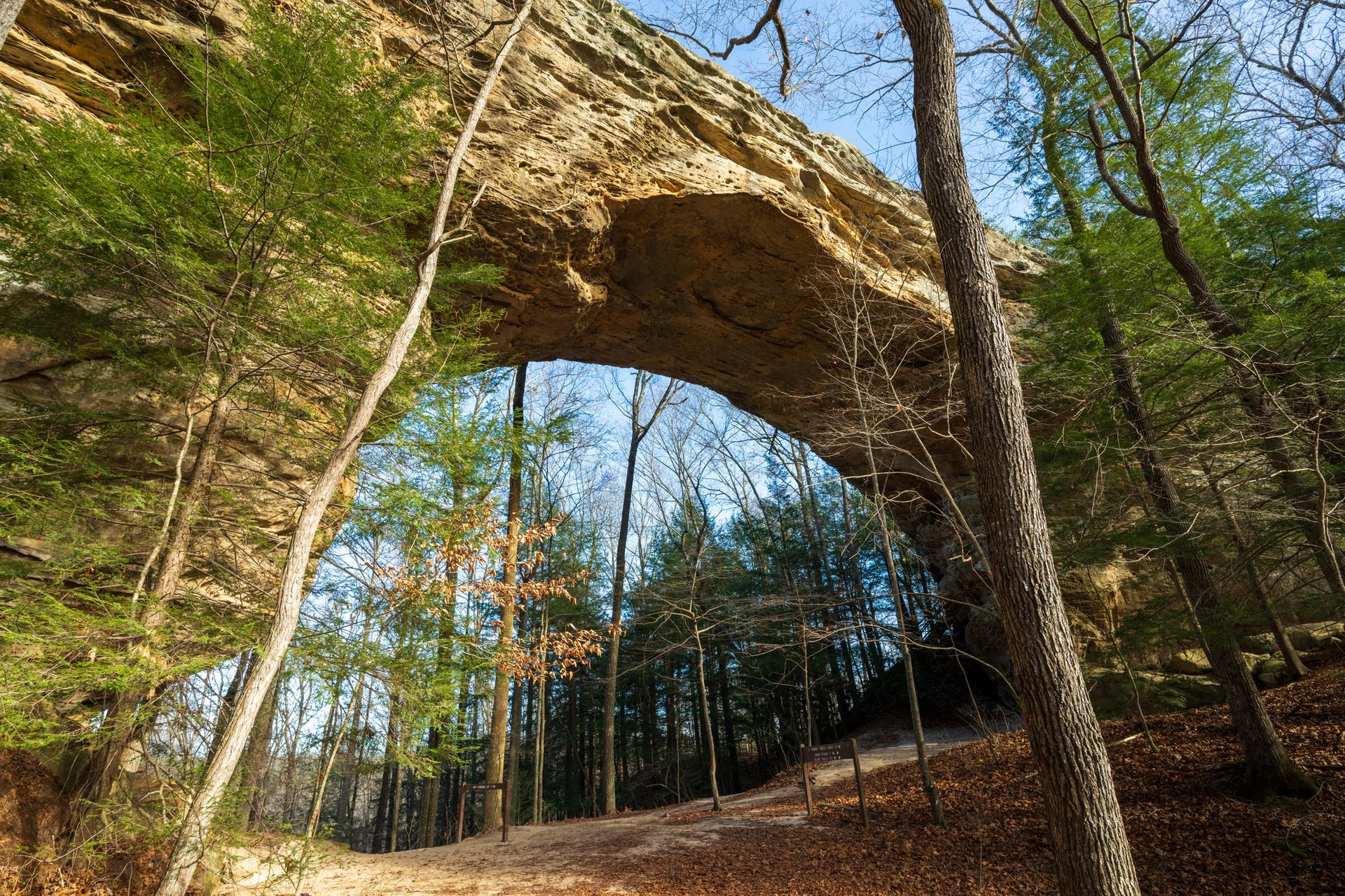 A wide natural rock arch spans over a forest path on a clear day.