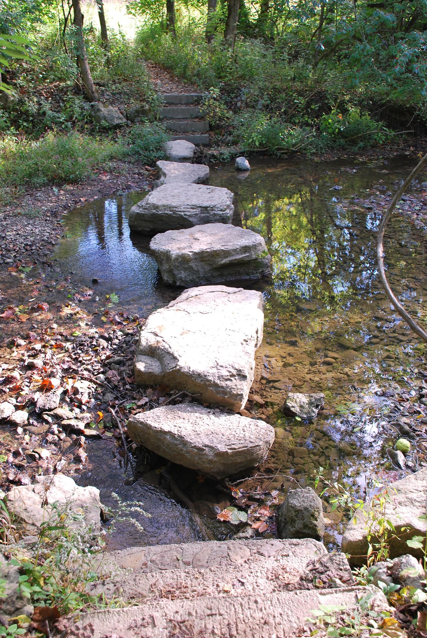 Stepping stones cross a shallow stream in a sunlit, green forest.