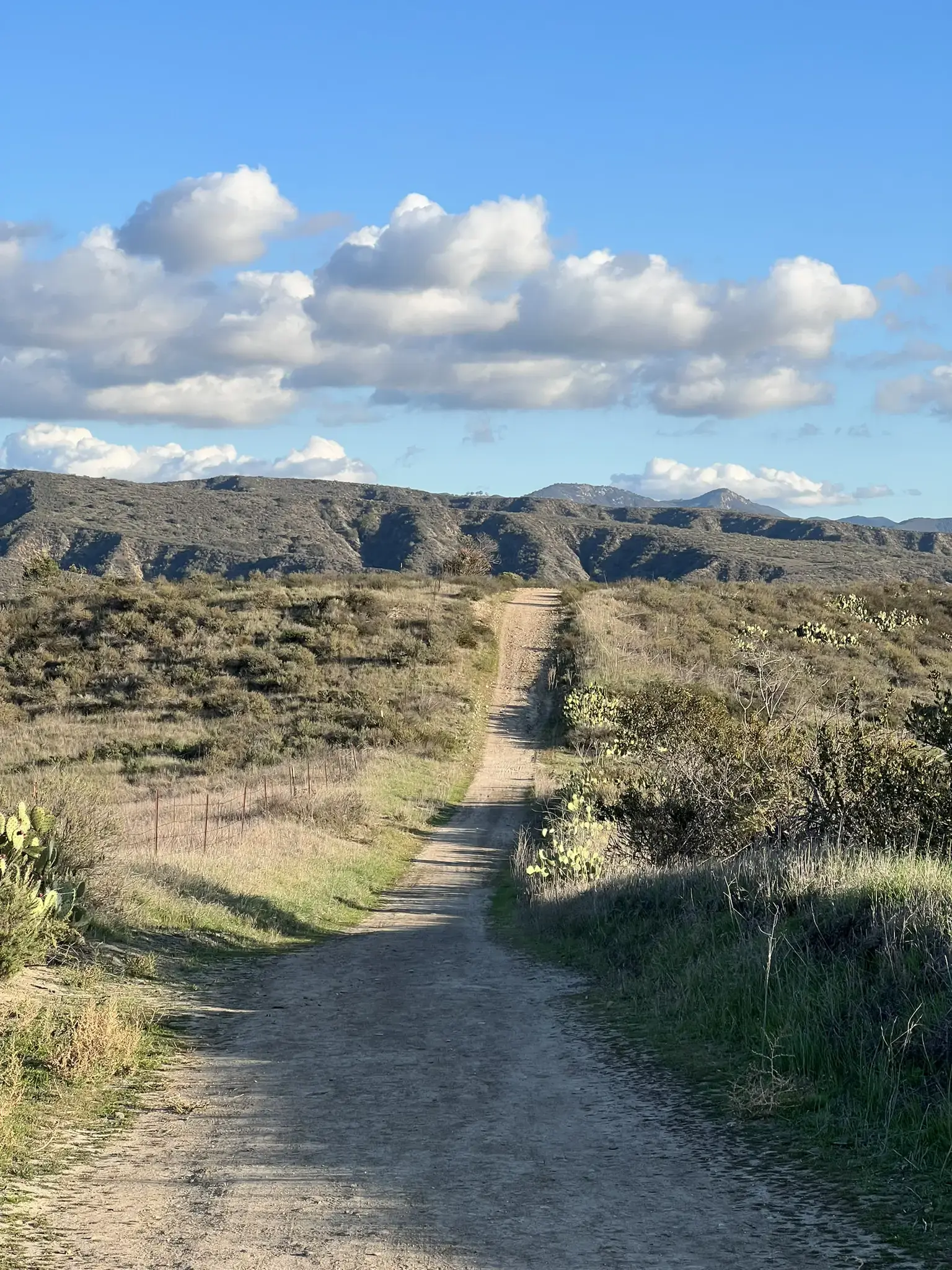 A dirt path winds through arid hills under a bright blue sky.