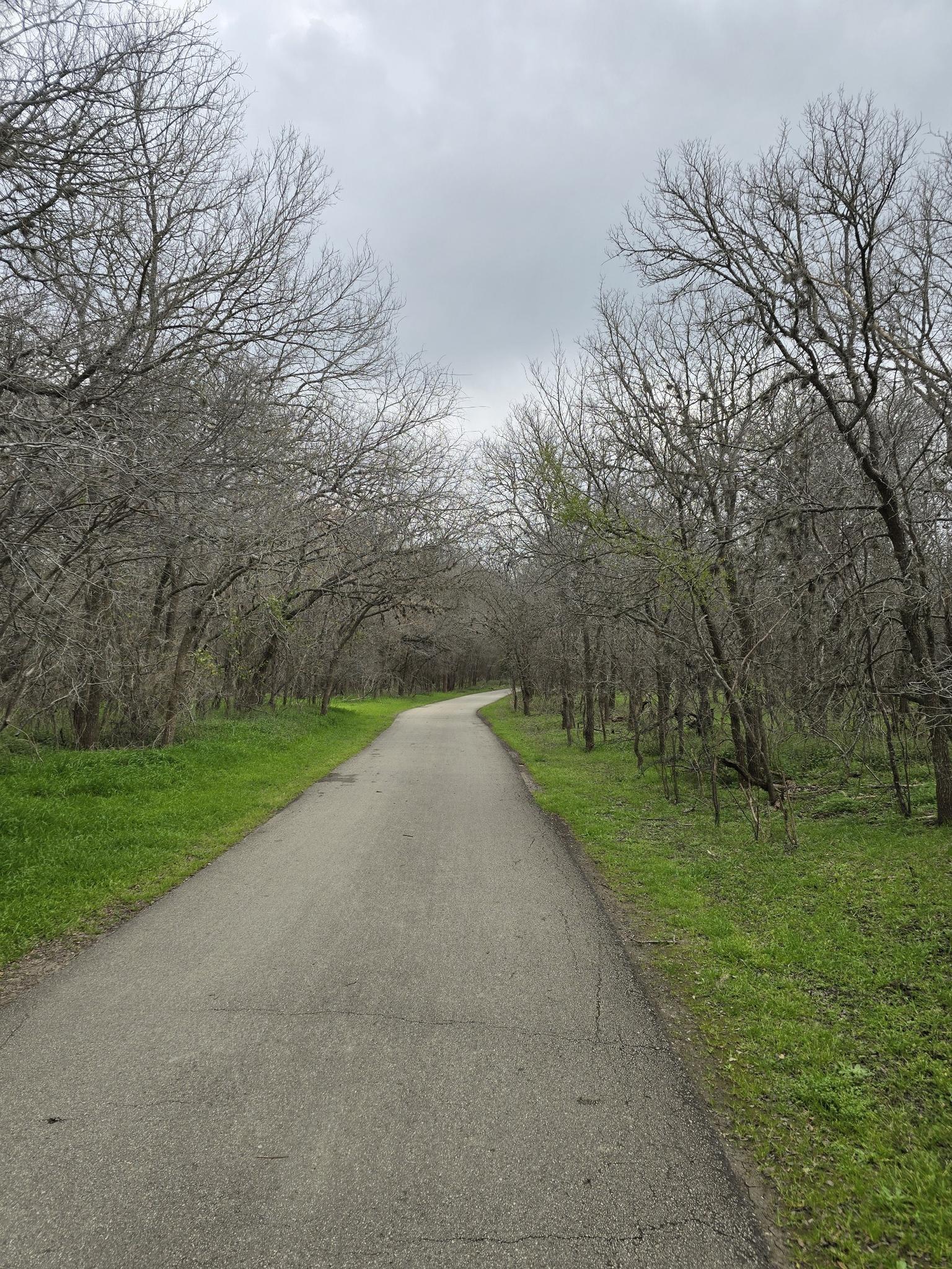 Paved path winding through bare trees and green grass under an overcast sky.