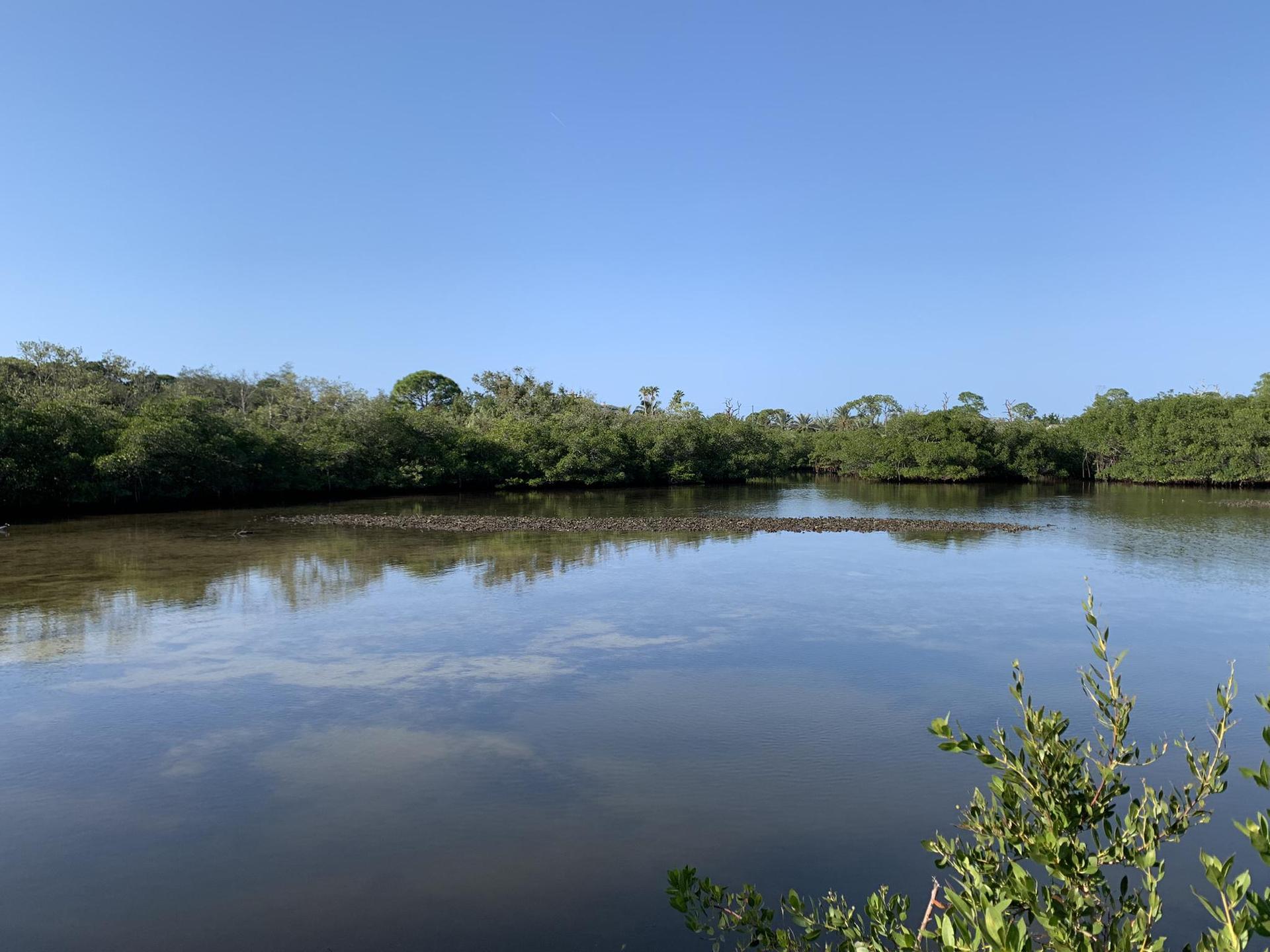 Calm water reflecting a clear sky, surrounded by lush green trees.