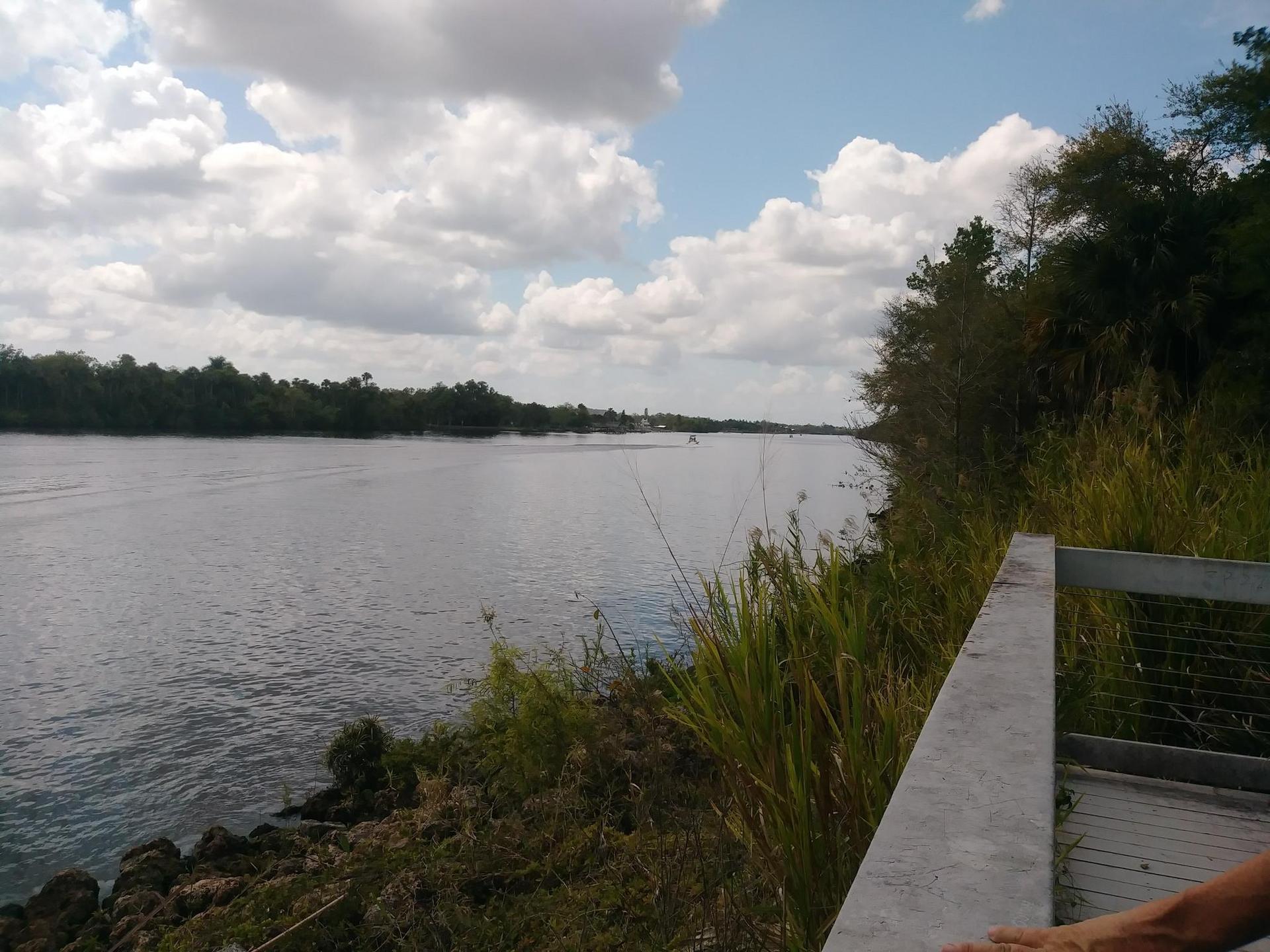 Wide river view from a wooden railing, with lush green banks and cloudy sky.