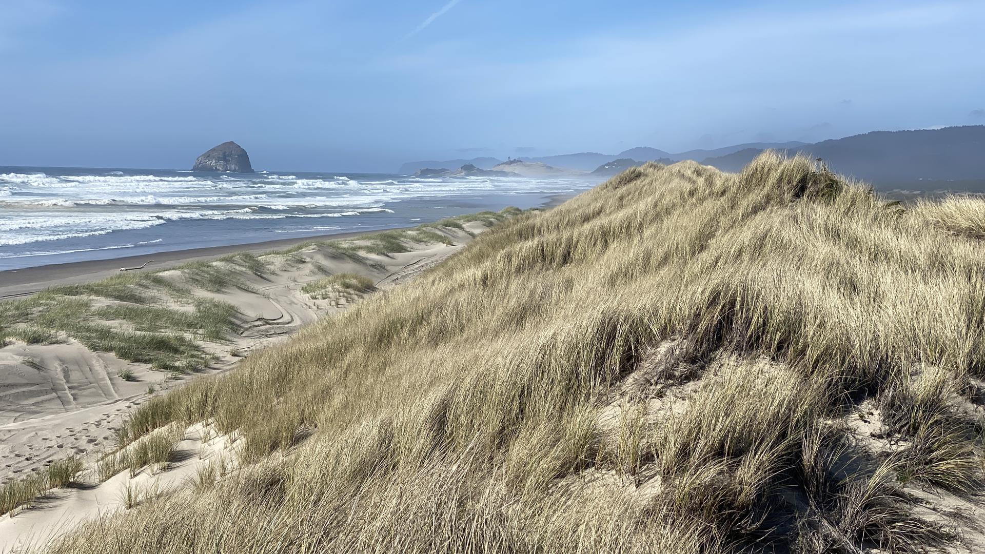 Sunny beach with large grassy dunes, ocean waves, and a sea stack.