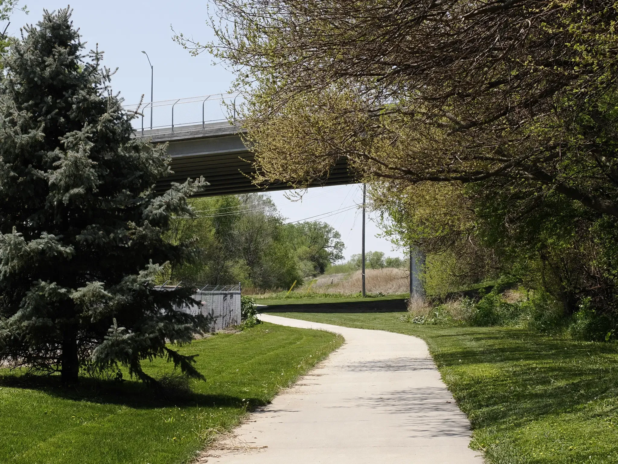 A winding paved path under a bridge on a sunny day. - Big Papio and Keystone Trail Loop
