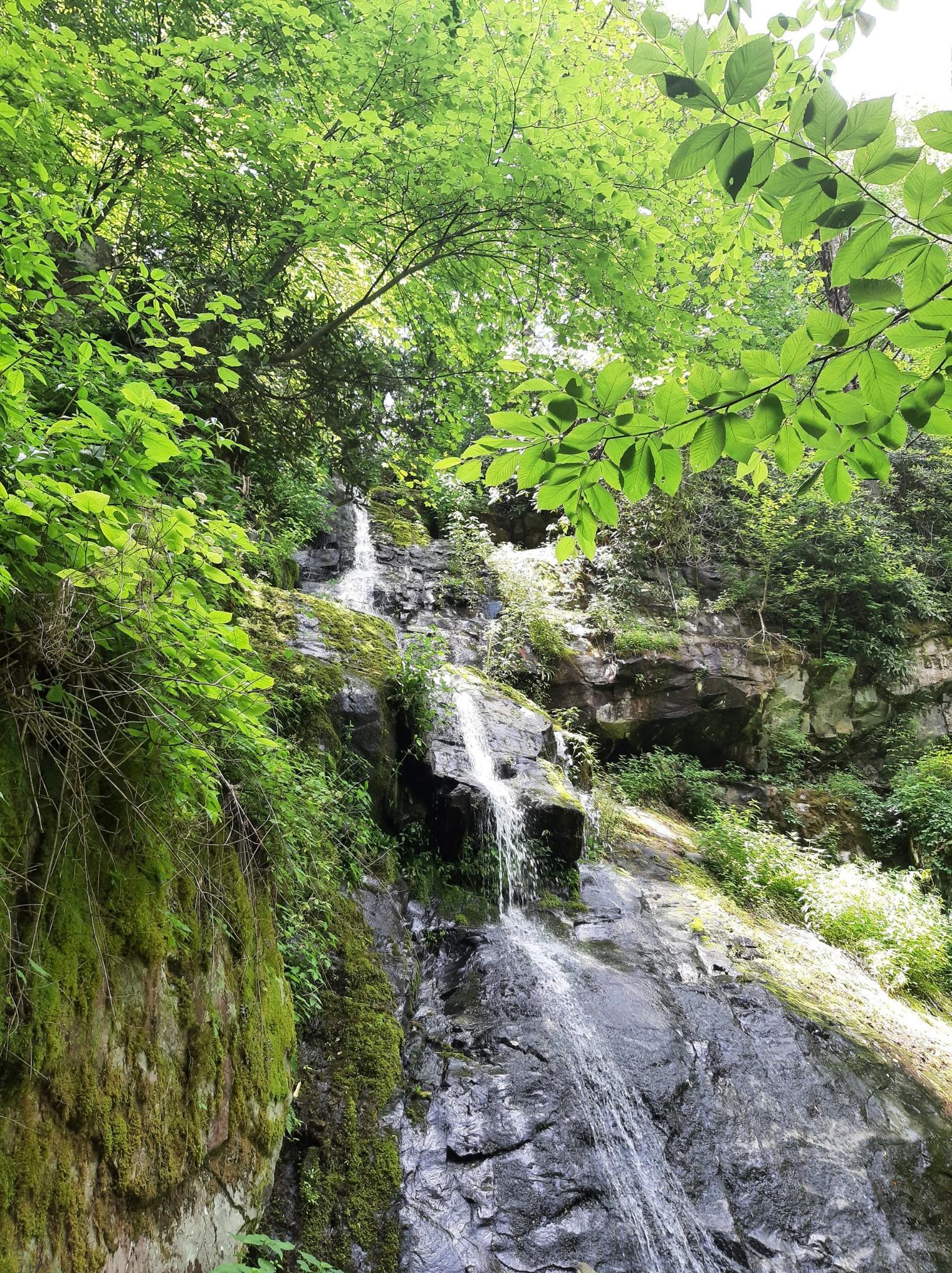 A multi-tiered waterfall cascades down a mossy rock face amidst lush green trees.