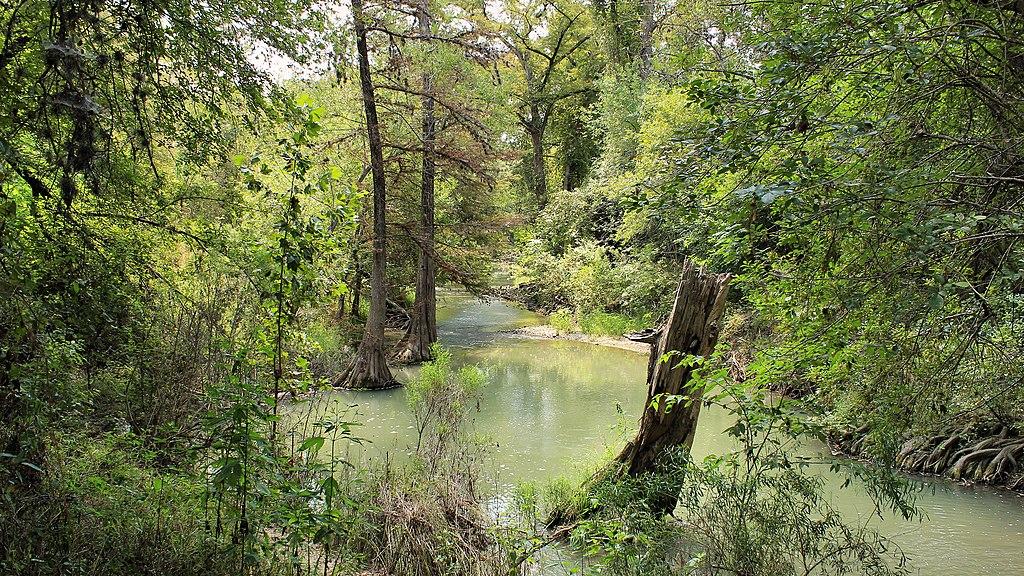 A winding river flows through a dense, sunlit green forest with a tree stump.