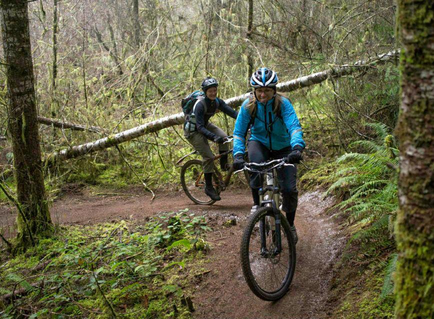 Two mountain bikers on a muddy forest trail with fallen trees.