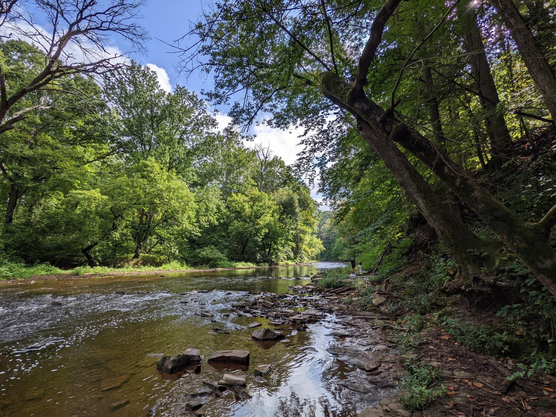 A wide river with rocky banks, surrounded by lush green trees under a bright sky.