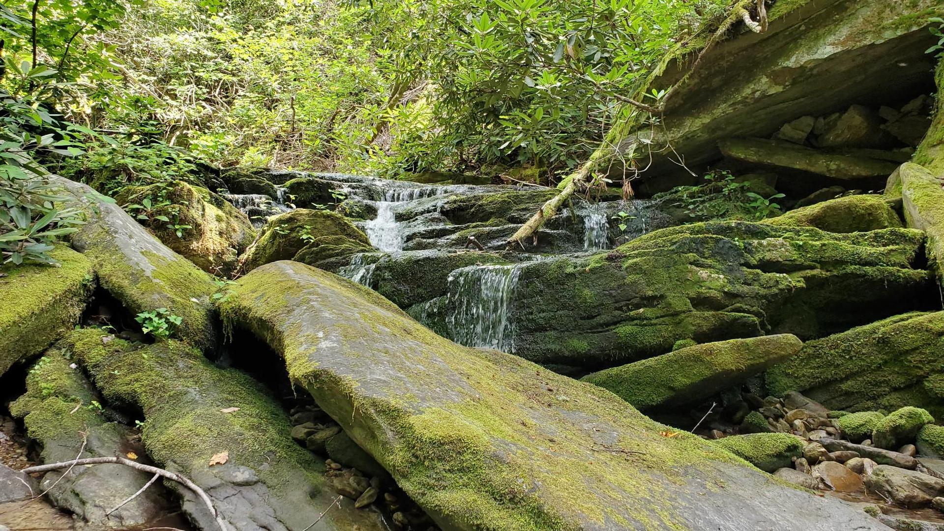 Small waterfall cascading over mossy rocks in a lush green forest.