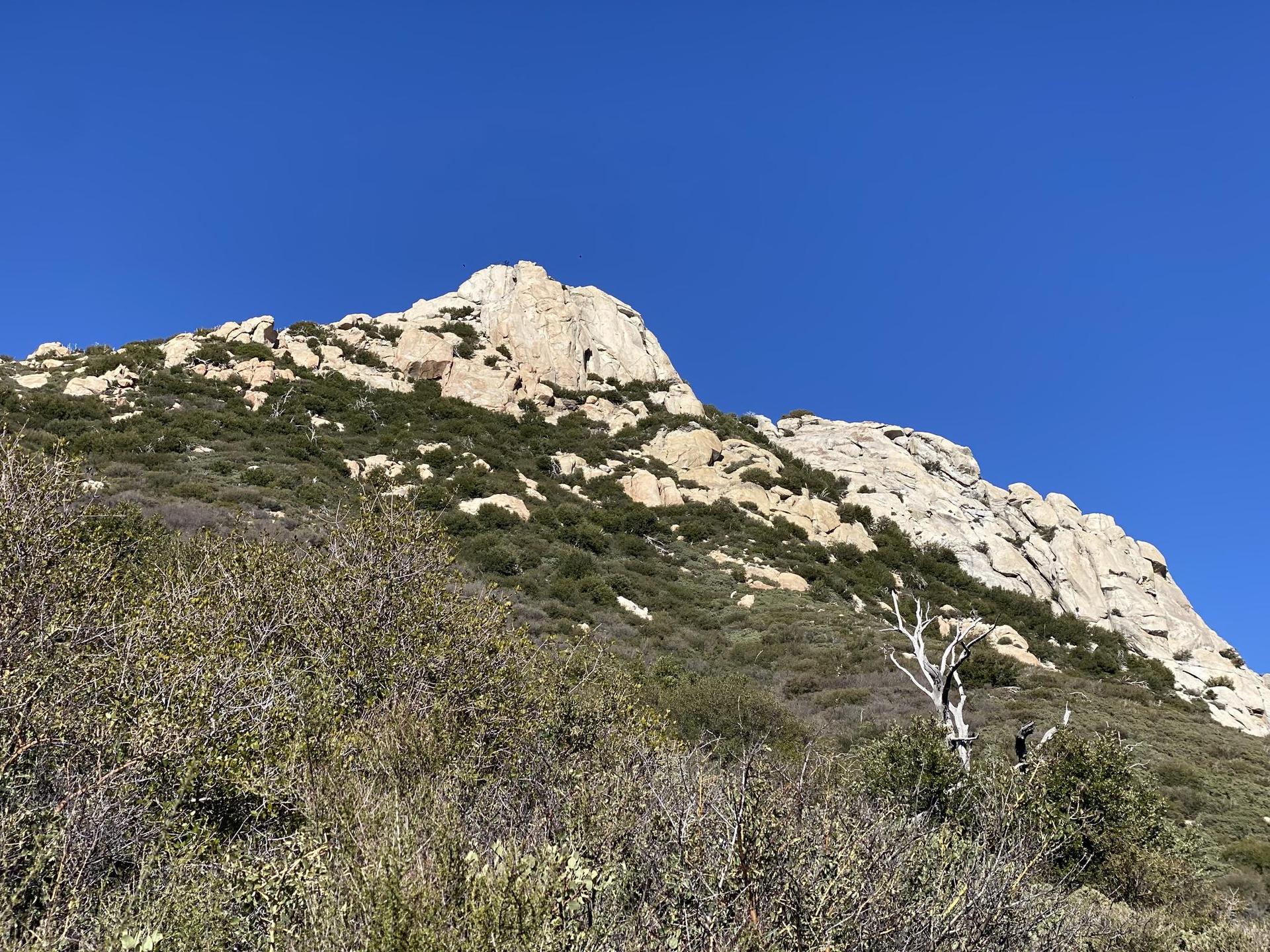 Large rocky mountain peak covered in green scrub under a clear blue sky.
