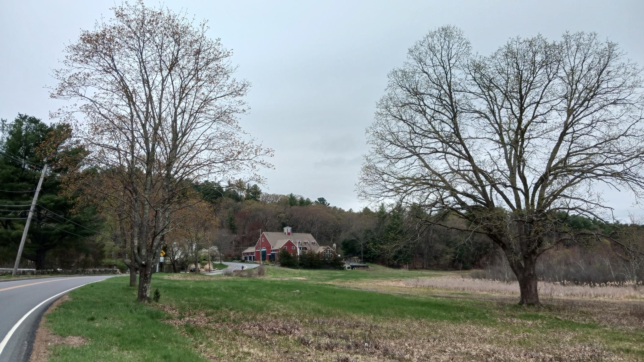 Two bare trees in a field with a house under a cloudy sky. - Beaconsfield to Coburn Meadow loop