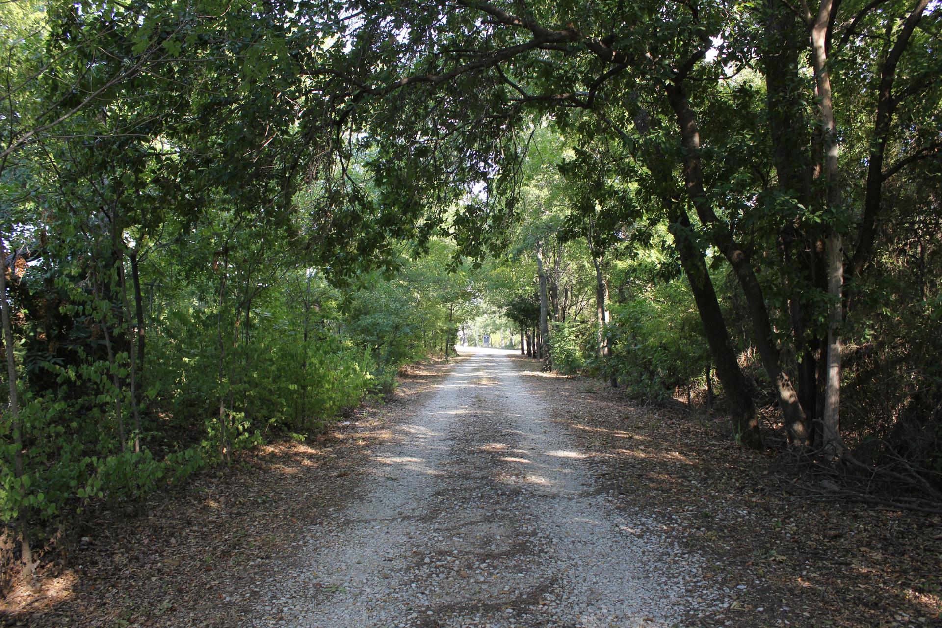 A sun-dappled gravel path winds through a tunnel of dense green trees.